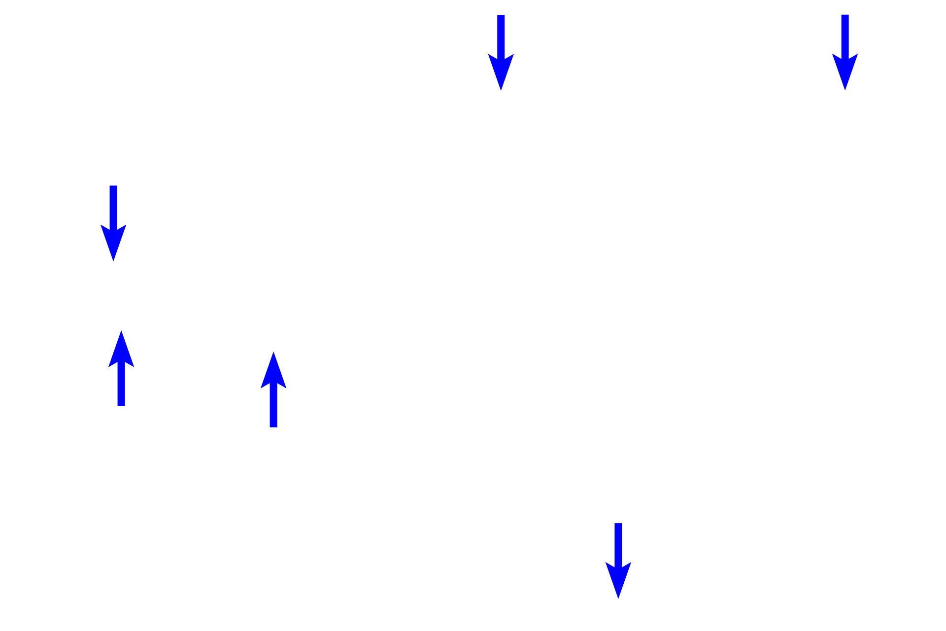 Compact bone <p>The ends of long bones are covered by articular cartilage, formed of hyaline cartilage, providing a smooth, glassy surface that allows the ends of the bones to move easily on each other. This type of articulation is called a synovial joint. Articular cartilages, which are not covered by periosteum, are separated by a fluid-filled synovial space. A thin layer of compact bone lies beneath the cartilage. 10x, 800x </p>