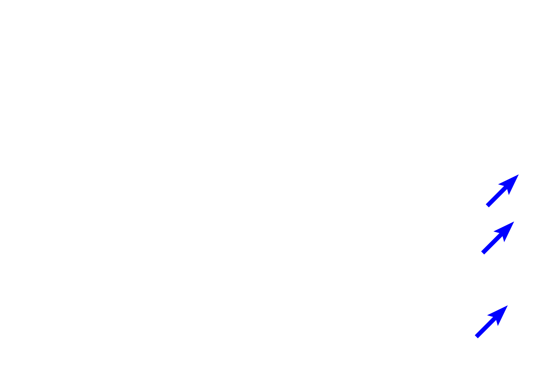 - Osteoclasts > <p>Osteoclasts are located on bony surfaces. Osteoclasts break down the bony matrix (resorption) during bone remodeling and also mobilize calcium.</p>