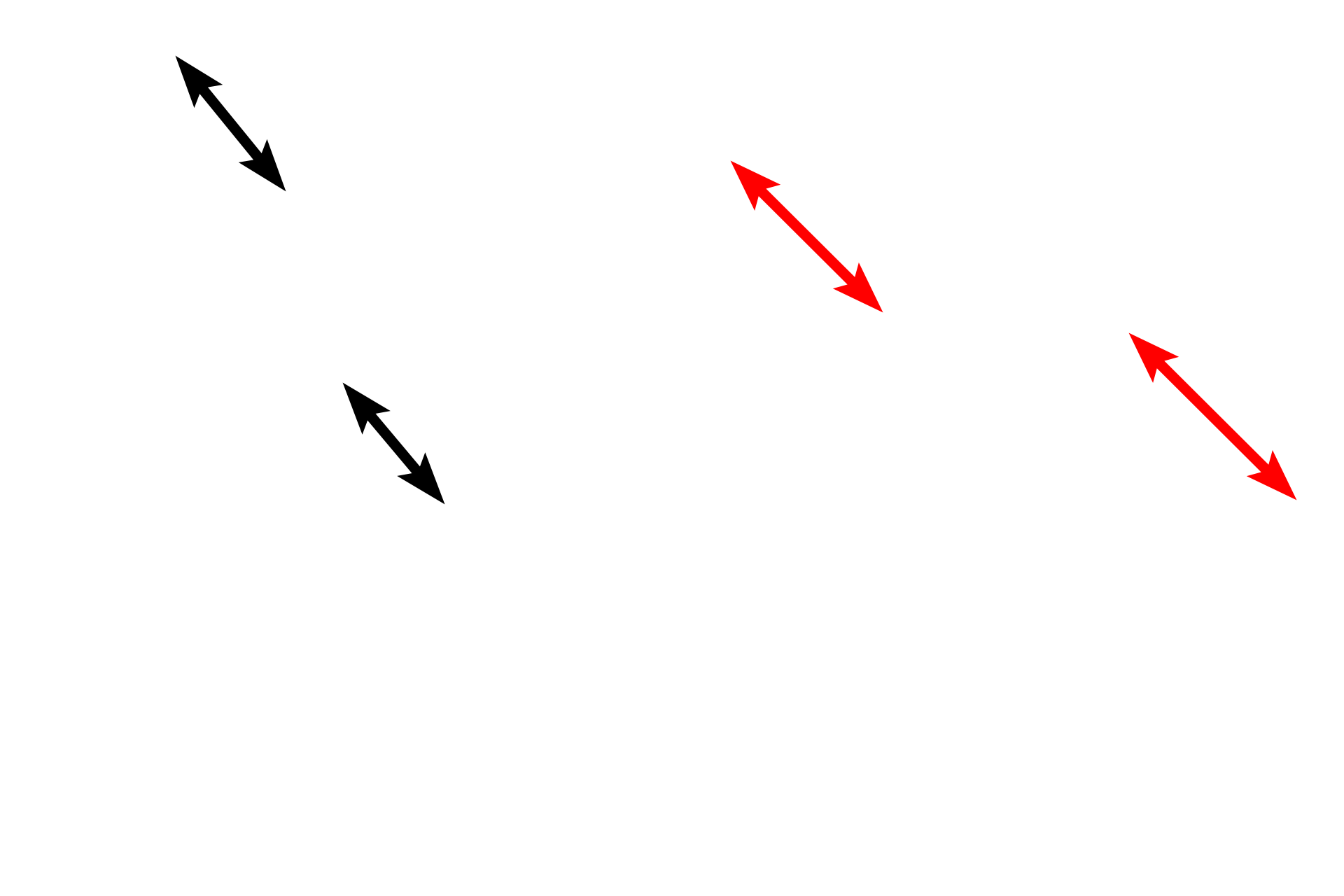 -- Haversian systems <p>In regions between the inner and outer circumferential lamella, the matrix is organized into the concentrically arranged lamellae that form Haversian systems.</p>