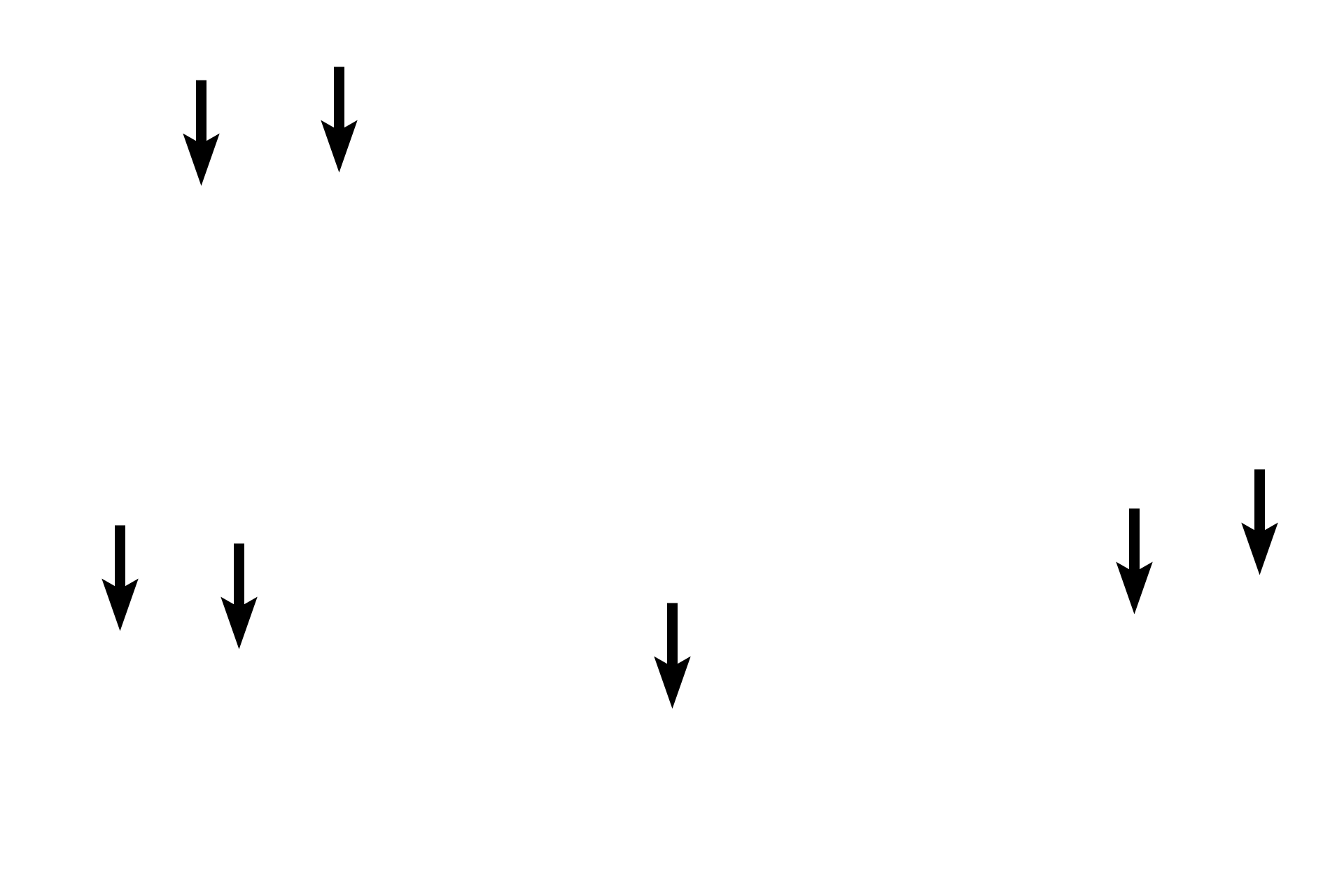 Endosteum > <p>The endosteum consists of a single layer of cells that line all interior bony surfaces except lacunae and canaliculi. The endosteum, like the periosteum, was not preserved in this preparation. </p>