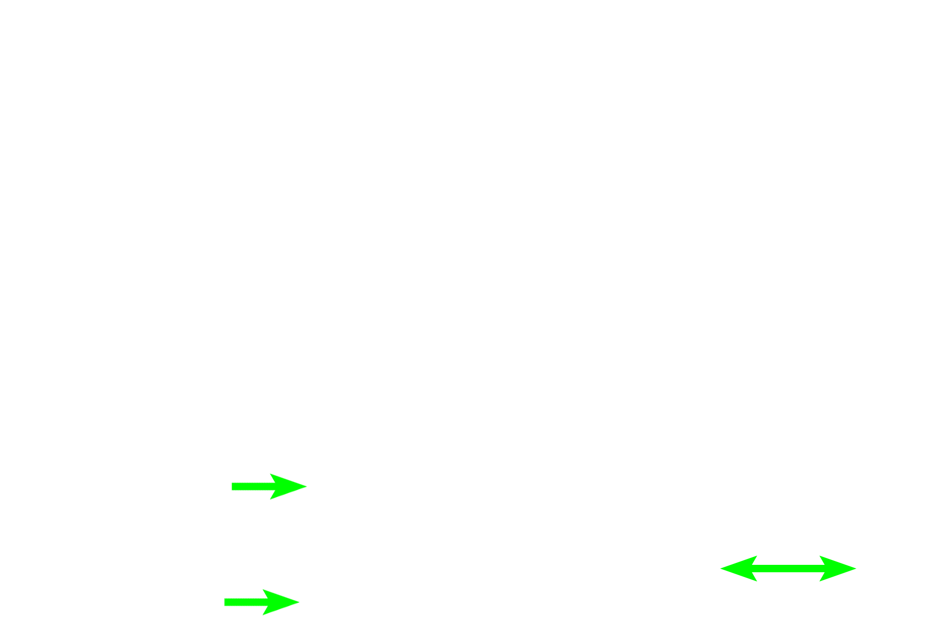 Marrow cavity > <p>The shaft of the diaphysis contains a marrow cavity, occupied by bone marrow. By age 25, red marrow is replaced by yellow marrow, consisting of adipose connective tissue with limited myeloid tissue. </p>