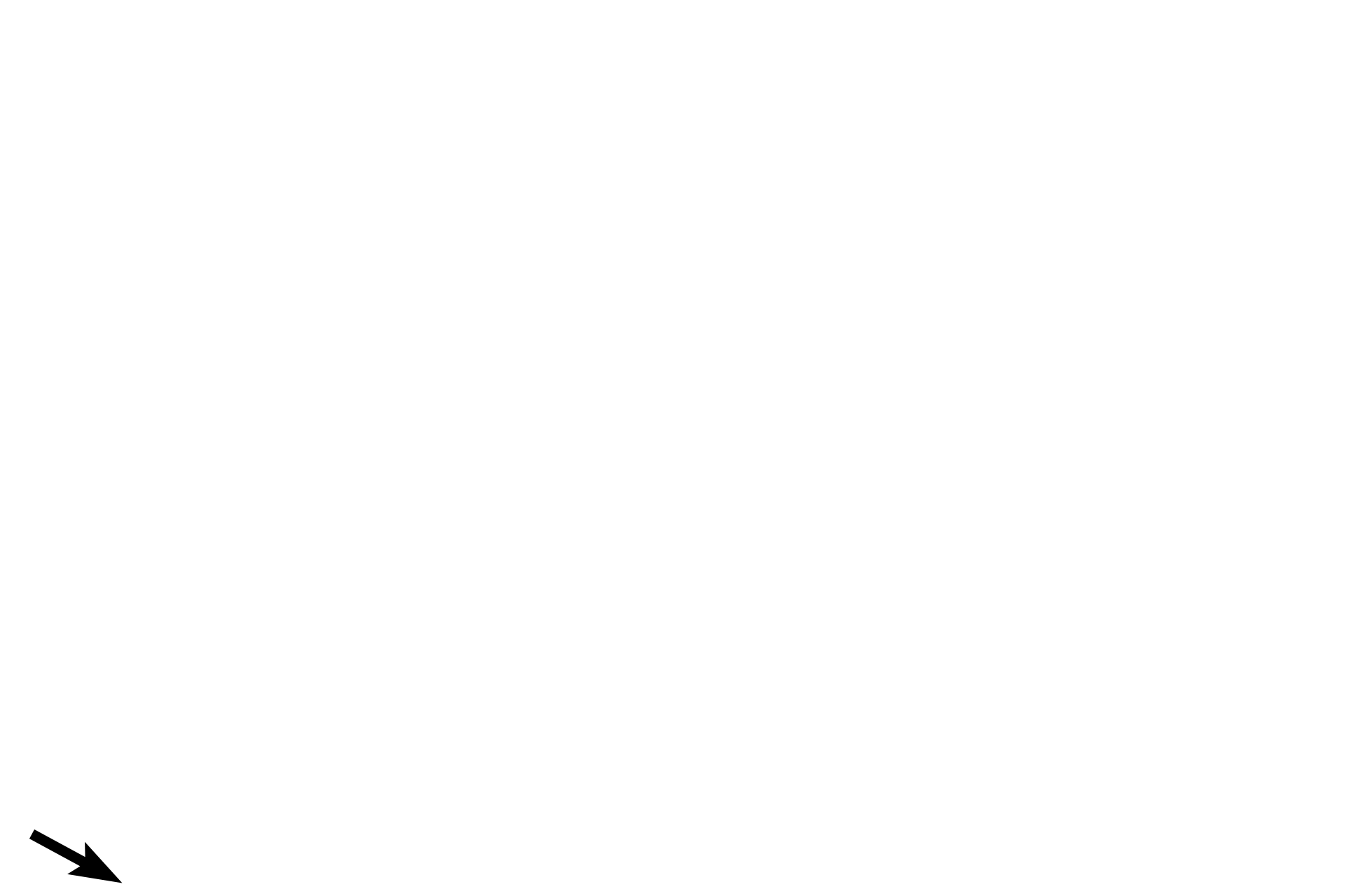 Perimetrium > <p>The perimetrium consists of a thin layer of connective tissue on the surface of the uterus (adventitia) or a serosa where it is covered by visceral periosteum. 600x</p>