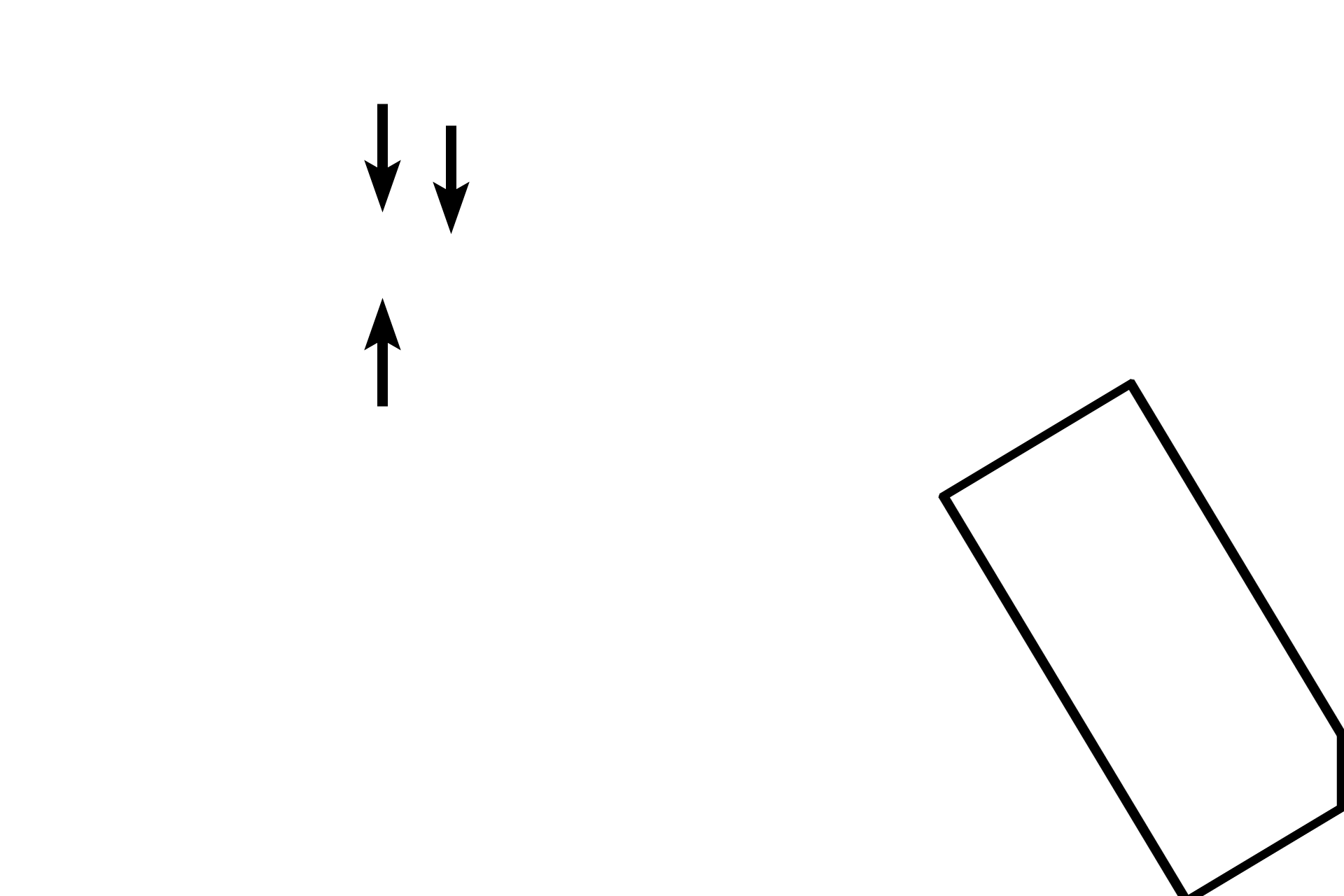 Valve leaflets >  <p>In larger vessels, valve leaflets are supported by a core of connective tissue.</p>
