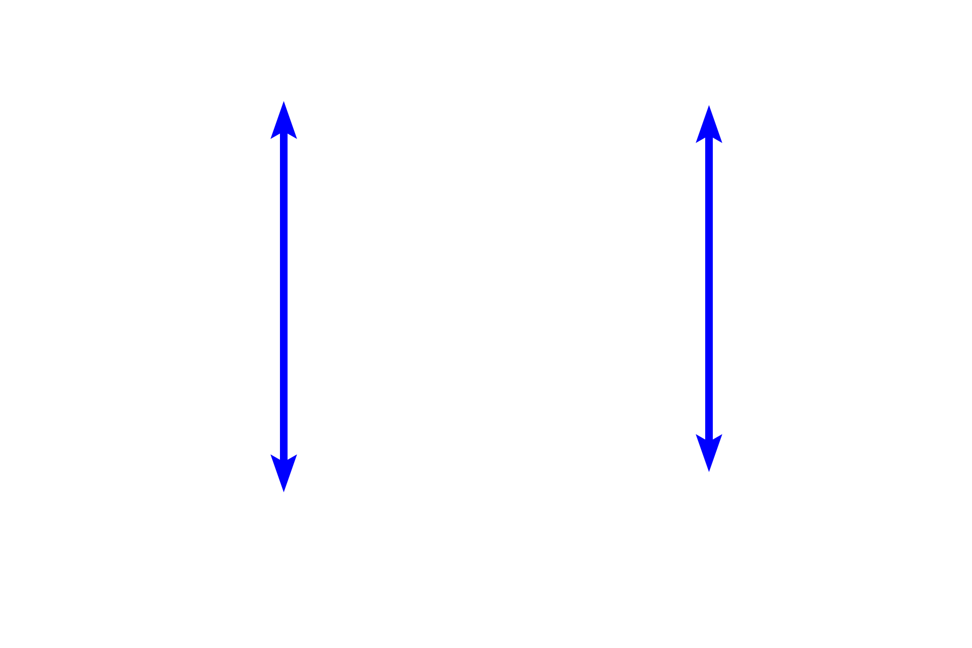 Secondary nodules <p>These secondary nodules in a tonsil demonstrate well-developed germinal centers capped by distinct mantles of unstimulated B cells. The nodule, which also contains macrophages and antigen-presenting cells, is supported by a stroma of reticular connective tissue. Tonsils filter tissue fluid in the mucosae of the oral and pharyngeal cavities. Pharyngeal tonsil, 200x</p>

