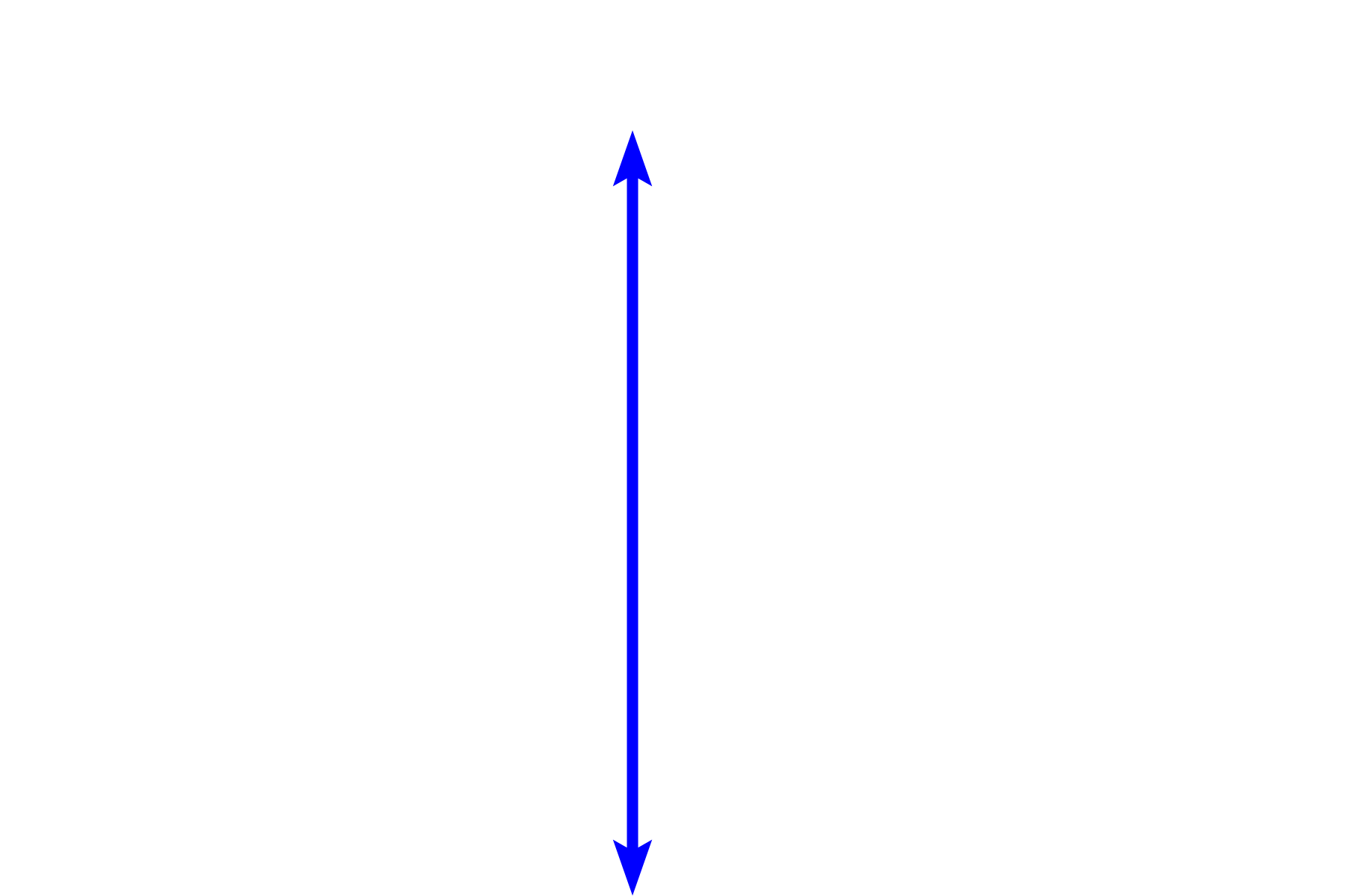 Germinal center <p>In the germinal center, B cells proliferate, altering their antibody-producing genes to diversify the humoral immune response. The cells then undergo a selection process whereby only those with the highest affinity antibodies survive to form immunoblasts. The remaining cells are eliminated through apoptosis and subsequent phagocytosis by macrophages. These macrophages are termed tingible body macrophages because the phagocytosed remnants of the B cells in their cytoplasm are readily stainable. 1000x  </p>

