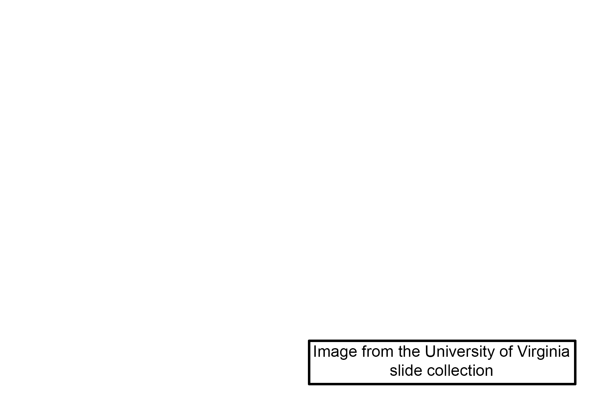 Image source >  <p>The image on the right was taken of a slide in the University of Virginia collection.</p>
