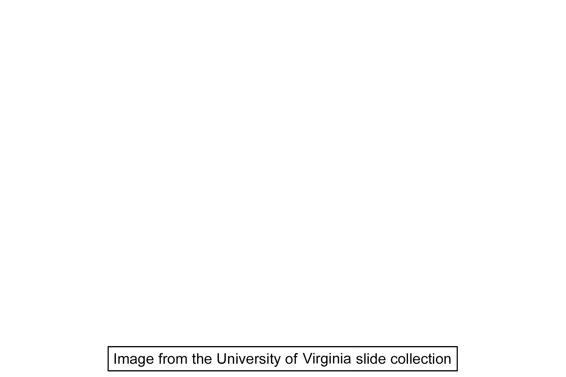 Image source > <p>This image was taken of a slide in the University of Virginia slide collection.</p>
