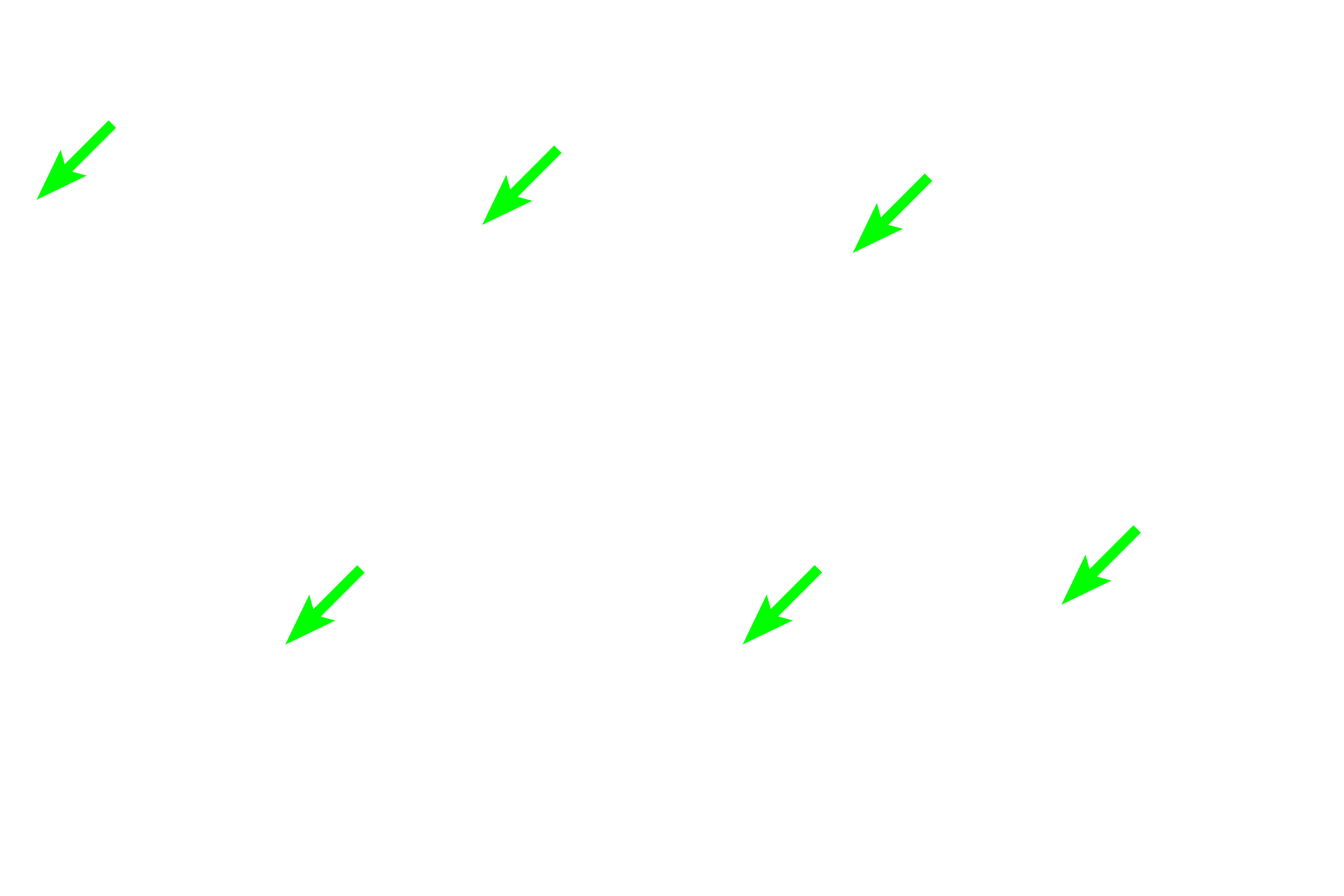 Osteoid <p>These images show osteoblasts on the surface of compact bone. Osteoblasts differentiate from osteoprogenitor cells in the osteogenic region of the periosteum and secrete osteoid onto the existing bone. 400x, 400x</p>
