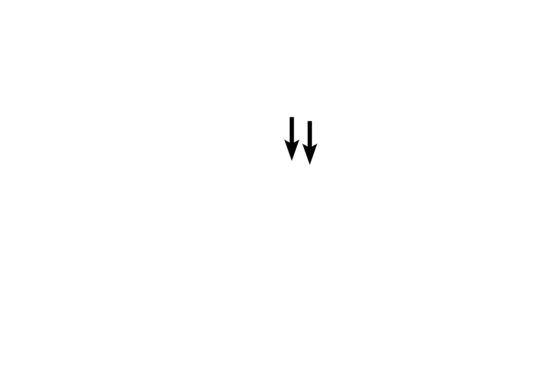 Volkmann's canal <p>A Volkmann’s canal is visible in this longitudinal section of decalcified cortical bone. Volkmann’s and Haversian canals convey blood vessels and both are lined by endosteum. Some cells visible in the lumens may also be those of endothelial cells lining blood vessels. 400x</p>

