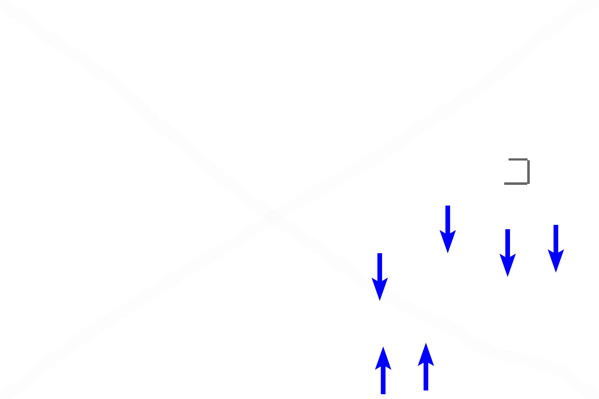  - Alveoli > <p>Alveoli first appear in respiratory bronchioles and are sites where gas exchange occurs. </p>
