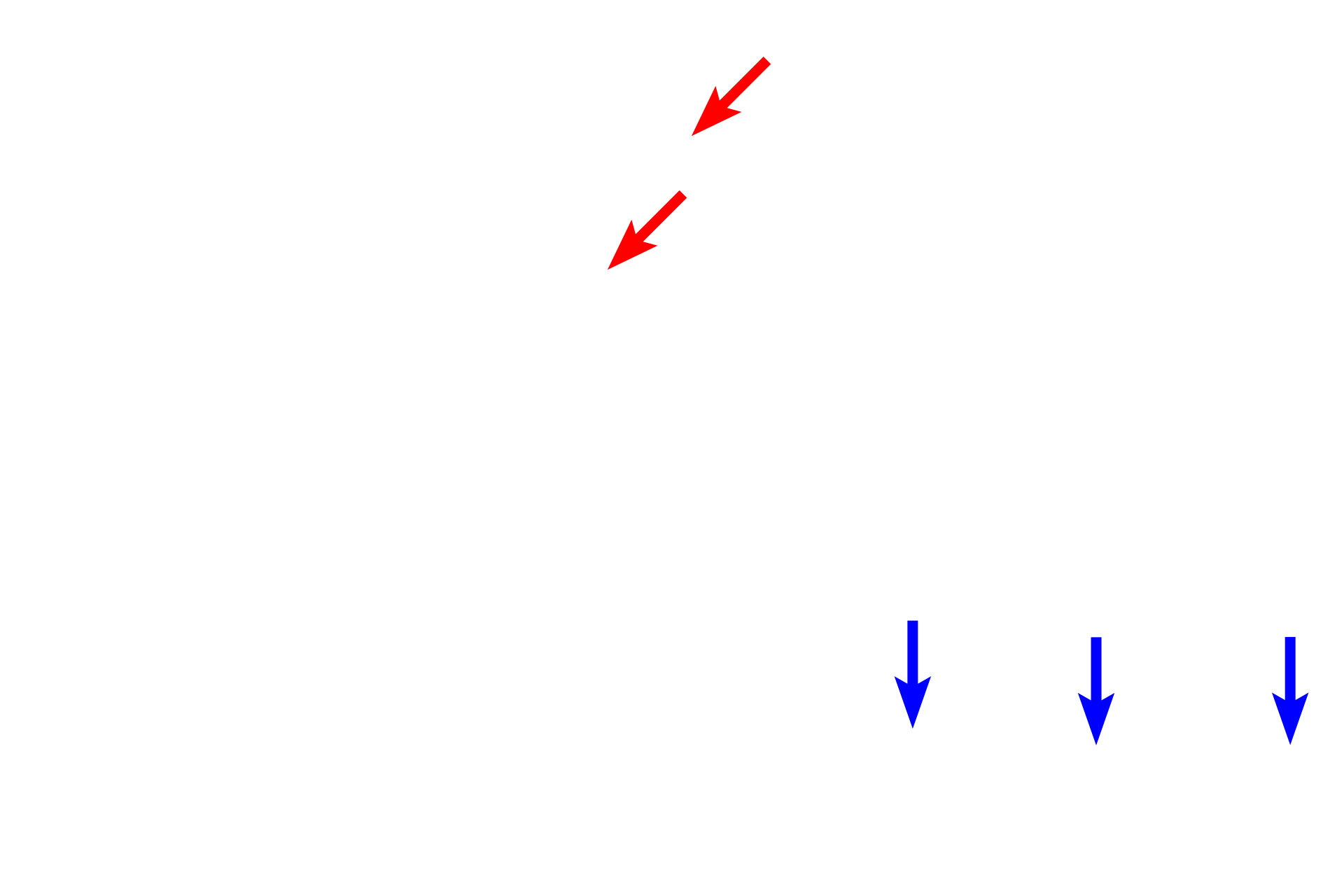 Bone <p>Olfactory mucosa lines the upper portions of the nasal cavity. Both the epithelium and lamina propria are much thicker than in respiratory mucosa. The epithelium consists of the highly specialized pseudostratified olfactory epithelium with olfactory neurons for detecting odorants. The underlying lamina propria contains purely serous glands, called Bowman’s glands or olfactory glands, along with blood vessels and nerves. Like respiratory mucosa, olfactory mucosa lacks a smooth muscle layer and an elastic lamina; it is mostly supported by bone.</p>
