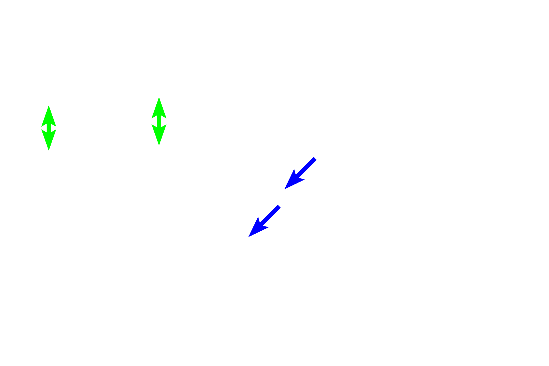  - Respiratory epithelium <p>Respiratory mucosa consists of a pseudostratified respiratory epithelium with cilia and goblet cells. The underlying lamina propria contains numerous blood vessels that moderate the air temperature and muco-serous glands that moisten the surface. The mucosa, which lacks a smooth muscle layer and an elastic lamina, is supported either by cartilage or bone depending on the region.</p>
