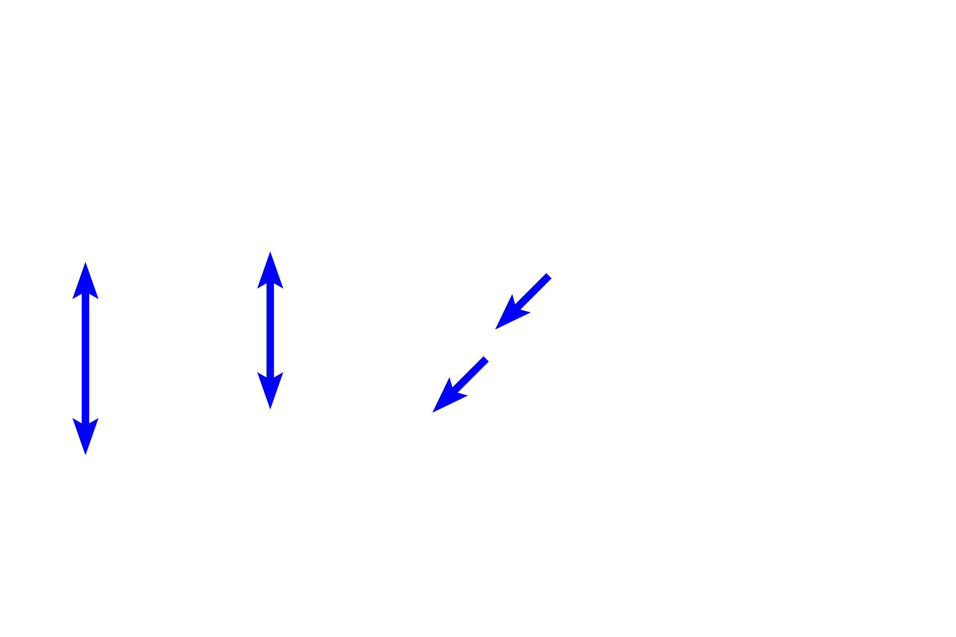  - Lamina propria <p>Respiratory mucosa consists of a pseudostratified respiratory epithelium with cilia and goblet cells. The underlying lamina propria contains numerous blood vessels that moderate the air temperature and muco-serous glands that moisten the surface. The mucosa, which lacks a smooth muscle layer and an elastic lamina, is supported either by cartilage or bone depending on the region.</p>
