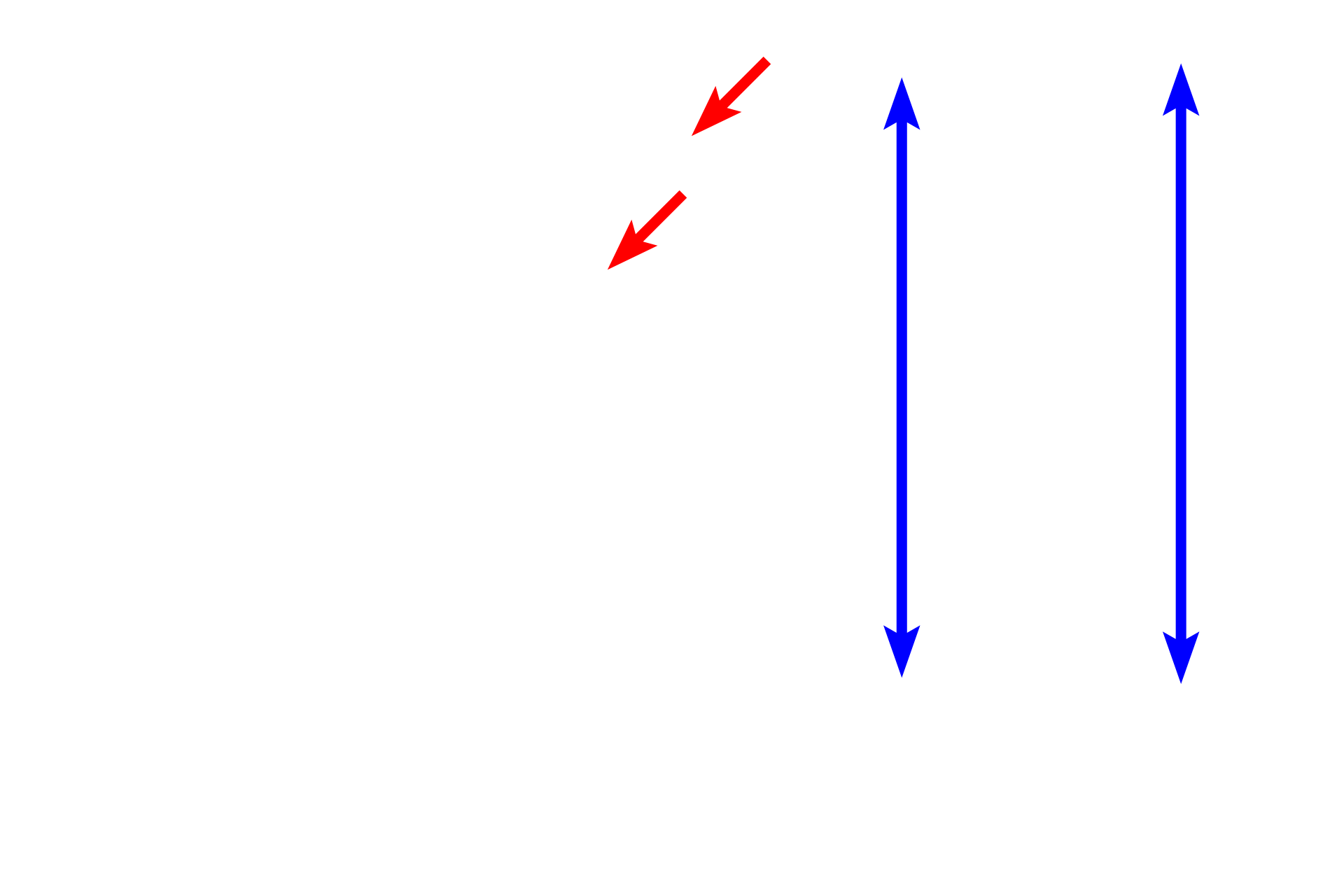 Olfactory mucosa >  <p>Olfactory mucosa lines the upper portions of the nasal cavity. Both the epithelium and lamina propria are much thicker than in respiratory mucosa. The epithelium consists of the highly specialized pseudostratified olfactory epithelium with olfactory neurons for detecting odorants. The underlying lamina propria contains purely serous glands, called Bowman’s glands or olfactory glands, along with blood vessels and nerves. Like respiratory mucosa, olfactory mucosa lacks a smooth muscle layer and an elastic lamina; it is mostly supported by bone.      </p>
