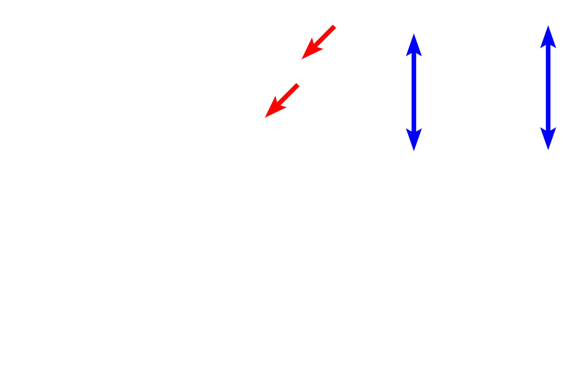  - Olfactory epithelium <p>Olfactory mucosa lines the upper portions of the nasal cavity. Both the epithelium and lamina propria are much thicker than in respiratory mucosa. The epithelium consists of the highly specialized pseudostratified olfactory epithelium with olfactory neurons for detecting odorants. The underlying lamina propria contains purely serous glands, called Bowman’s glands or olfactory glands, along with blood vessels and nerves. Like respiratory mucosa, olfactory mucosa lacks a smooth muscle layer and an elastic lamina; it is mostly supported by bone.</p>
