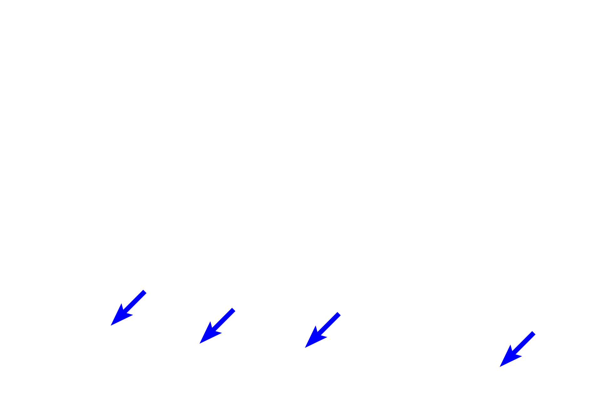 Basal cells >  <p>Basal cells are progenitor or stem cells, resupplying the epithelium with olfactory neurons and supporting cells. The turnover rate for olfactory neurons is around 30-60 days, with some potentially surviving up to 6 months. </p>
