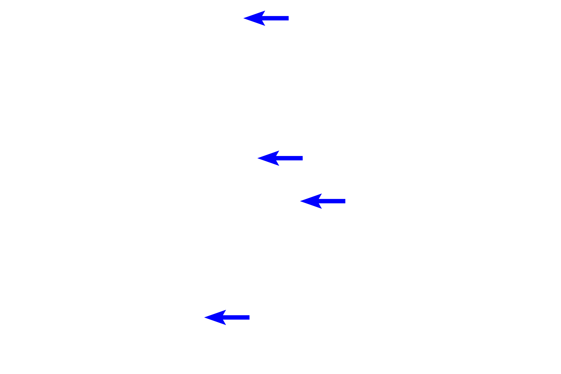  - Sensory nerves <p>Olfactory mucosa lines the medial surface of the superior concha. This pseudostratified columnar epithelium is markedly thicker than that of respiratory regions. The underlying lamina propria is also thicker, filled with serous-secreting Bowman’s glands and cranial sensory nerves supplying both special (olfaction) and general sensations.</p>
