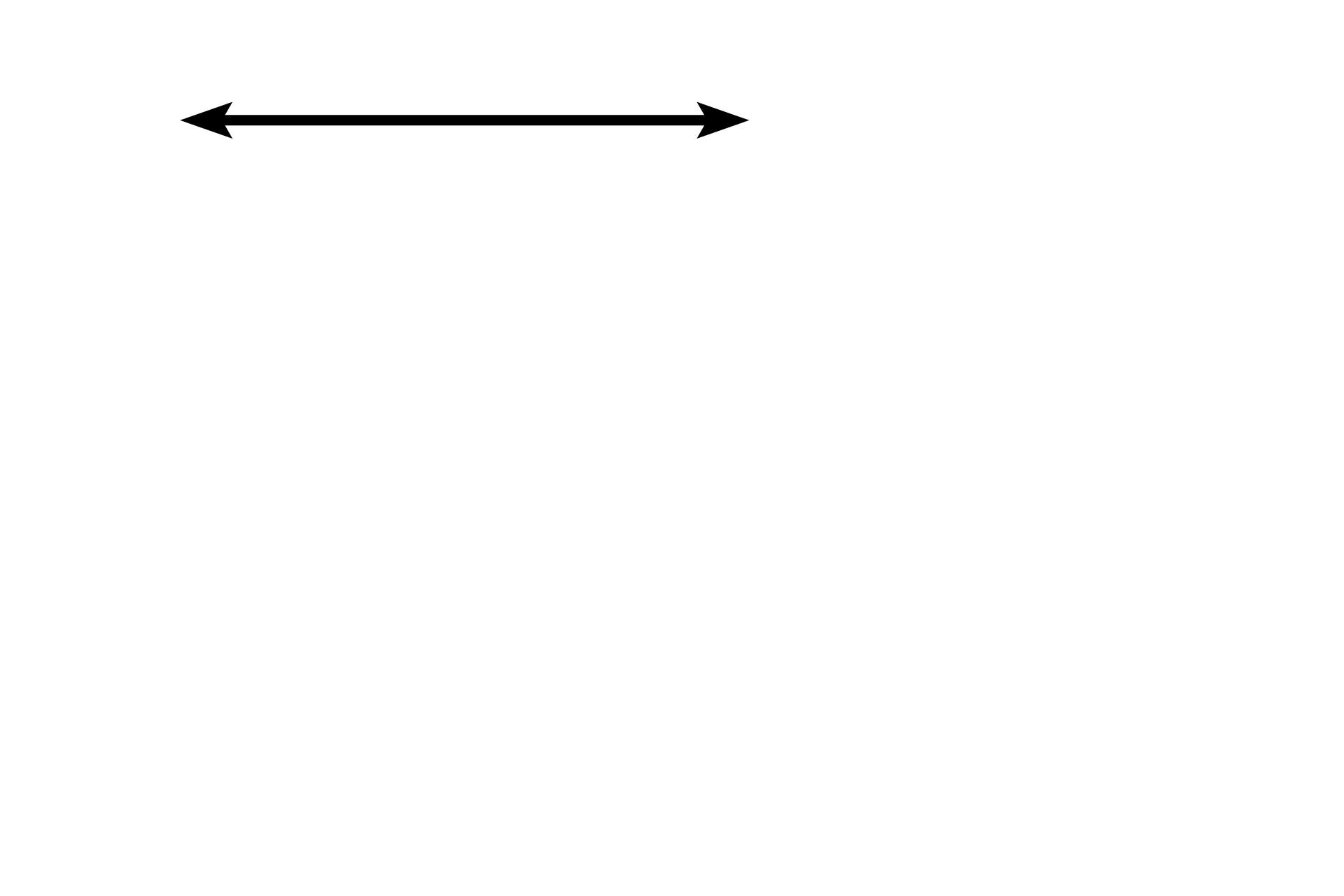 Esophagus <p>The trachea is an extrapulmonary component of the conducting portion, continuing inferiorly from the larynx. It lies anterior to the esophagus and its walls are supported by C-shaped cartilage rings, whose openings face the esophagus. The two main lobes of the thyroid gland are visible at the lateral boundaries of the trachea. The trachea is about 2.5 cm in diameter and 10-12 cm long. It bifurcates into left and right primary (main) bronchi which enter the lung. The histological structure of the trachea and main bronchi is similar. 10x</p>
