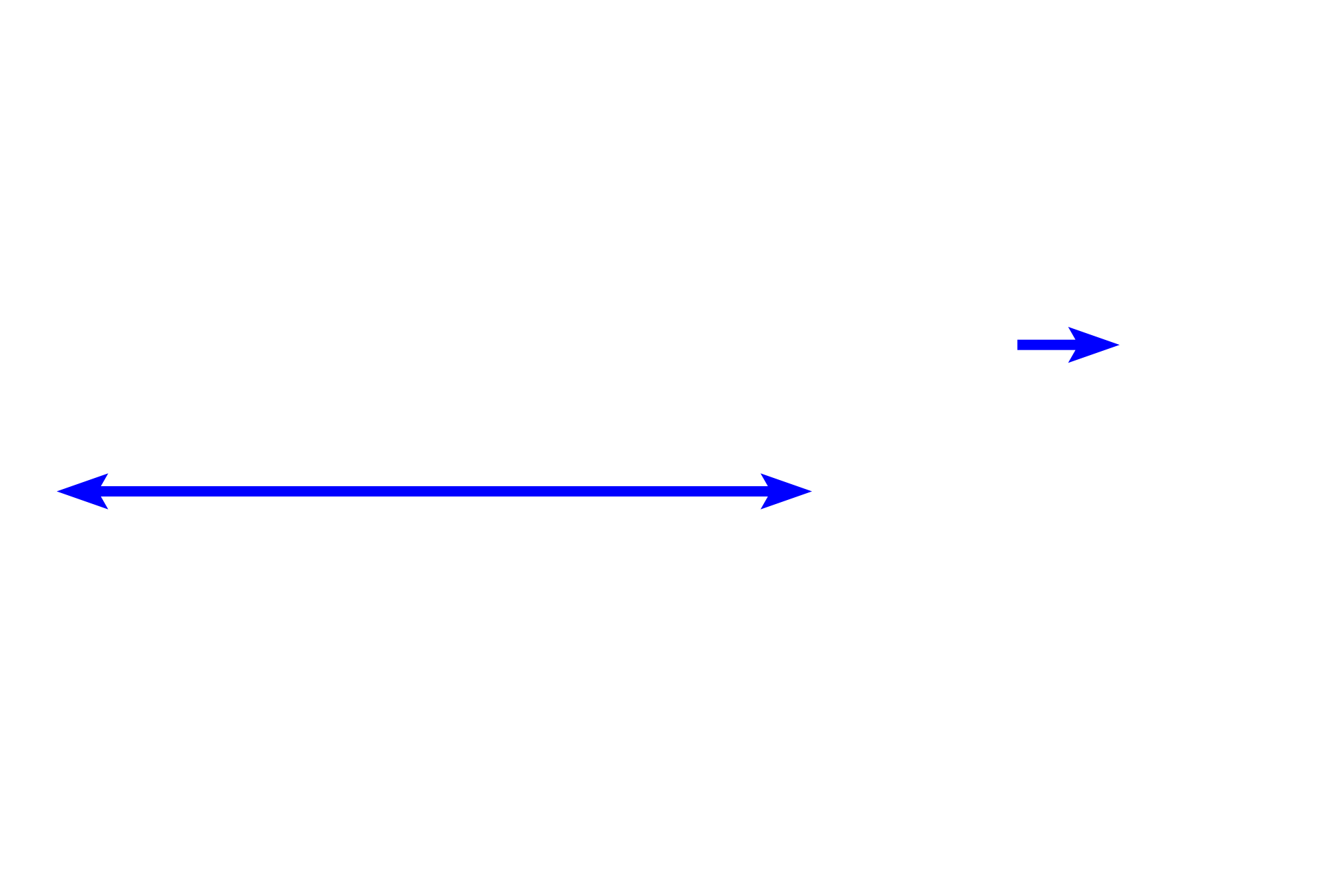 Trachea <p>The trachea is an extrapulmonary component of the conducting portion, continuing inferiorly from the larynx. It lies anterior to the esophagus and its walls are supported by C-shaped cartilage rings, whose openings face the esophagus. The two main lobes of the thyroid gland are visible at the lateral boundaries of the trachea. The trachea is about 2.5 cm in diameter and 10-12 cm long. It bifurcates into left and right primary (main) bronchi which enter the lung. The histological structure of the trachea and main bronchi is similar. 10x</p>
