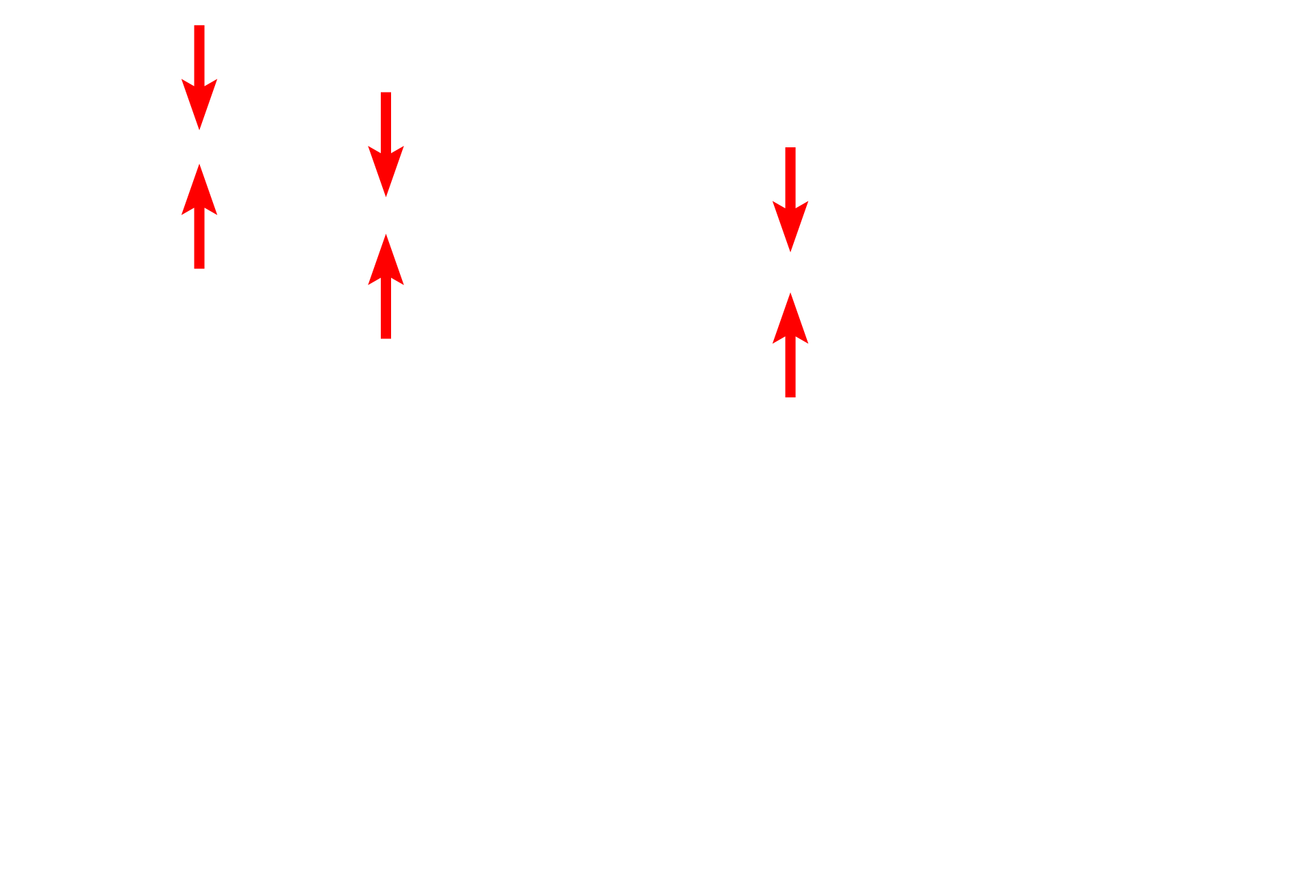 Elastic lamina <p>Another image of the trachea or primary bronchus demonstrates the components forming the wall of these passageways. The large number of blood vessels, particularly in the lamina propria, serve to warm the inspired air. 100x</p>
