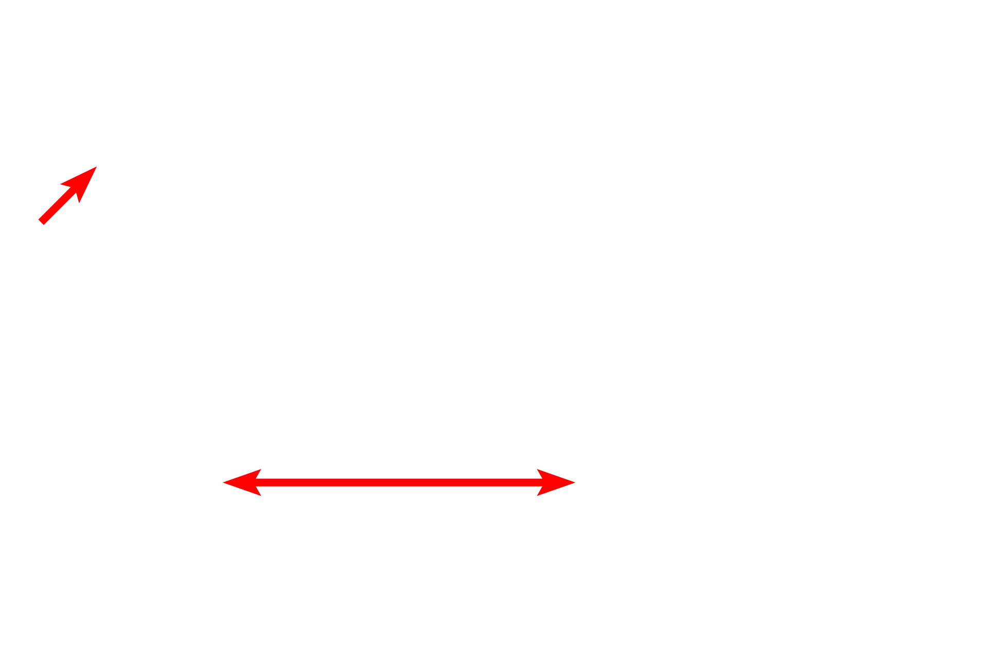 Goblet cell <p>An electron micrograph shows the surface of the respiratory epithelium. The expanded upper portion of a goblet cell is visible along with the ciliated epithelial cells. Goblet cells release mucus onto the surface where it traps inhaled particulate matter. Rhythmic beating of the cilia move the layer of mucus upwards, to be swallowed or coughed out. This mechanism is often referred to as the “muco-ciliary escalator”.  8000x</p>
