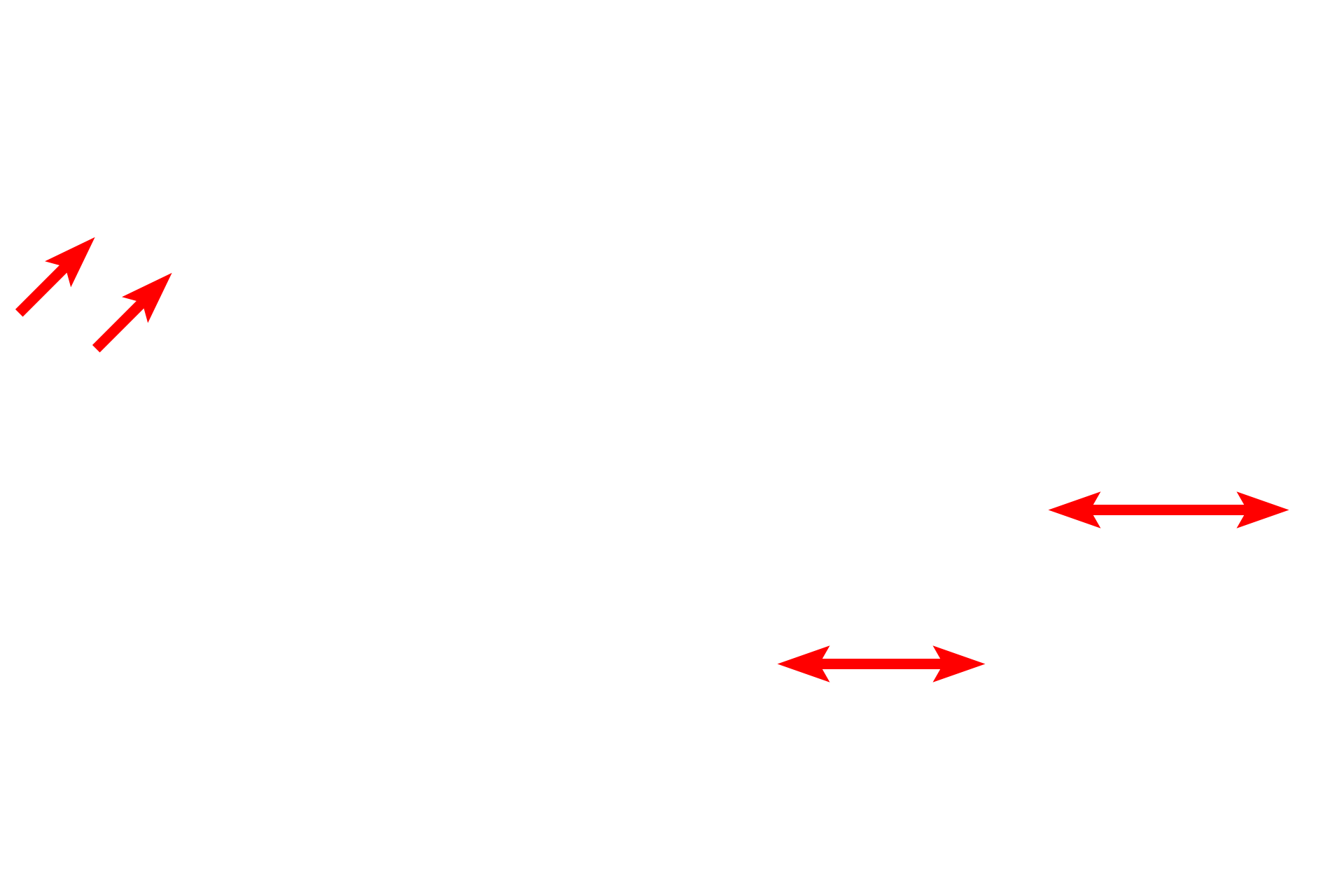 Ciliated cells <p>An electron micrograph shows the surface of the respiratory epithelium. The expanded upper portion of a goblet cell is visible along with the ciliated epithelial cells. Goblet cells release mucus onto the surface where it traps inhaled particulate matter. Rhythmic beating of the cilia move the layer of mucus upwards, to be swallowed or coughed out. This mechanism is often referred to as the “muco-ciliary escalator”.  8000x</p>
