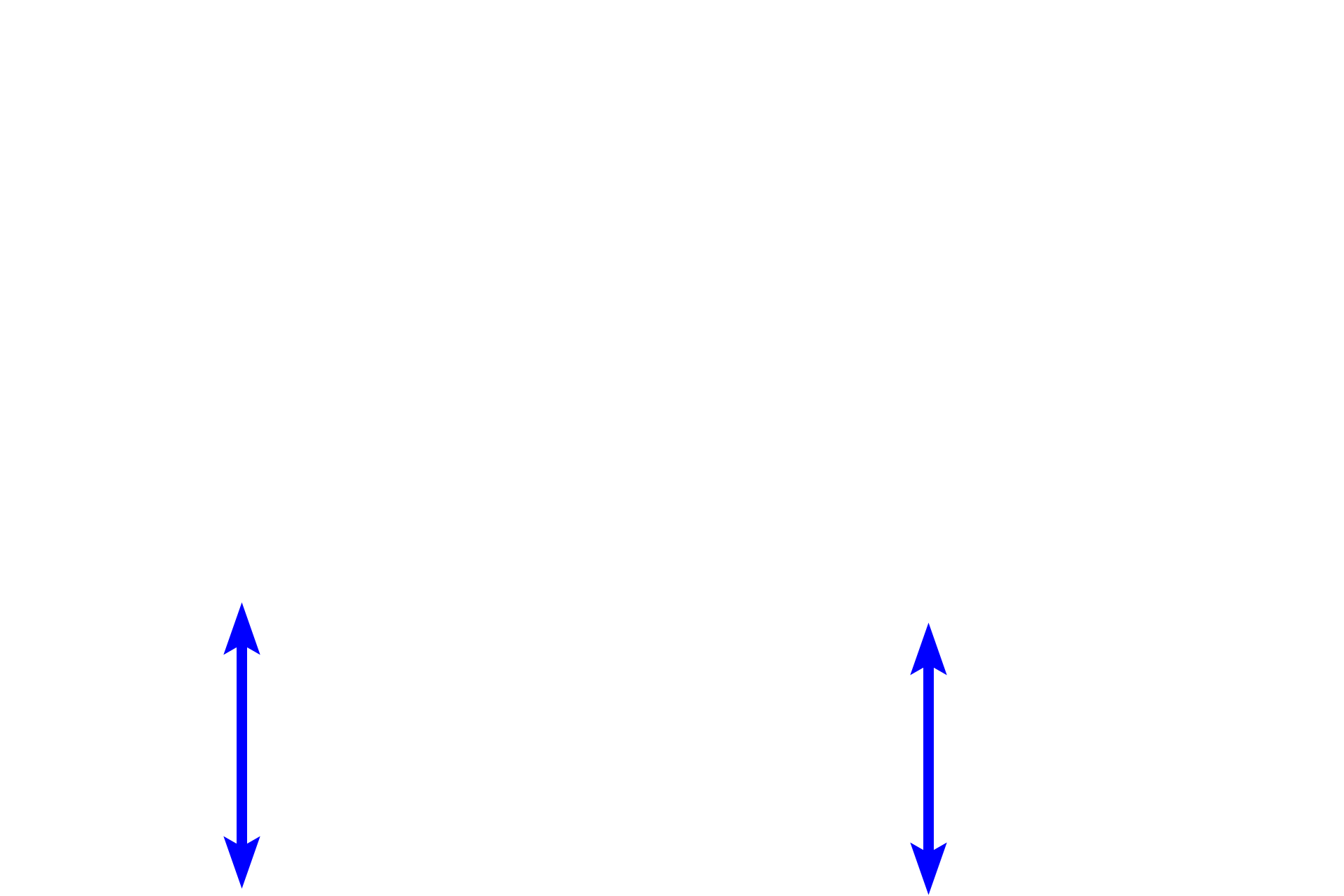 Submucosa <p>Beneath the lamina propria, elastic fibers become more numerous forming a distinct elastic lamina, separating the lamina propria and submucosa. The elastic lamina provides structural support to maintain patency and also allows for expansion and passive recoil during the inhalation-exhalation cycle. 200x</p>
