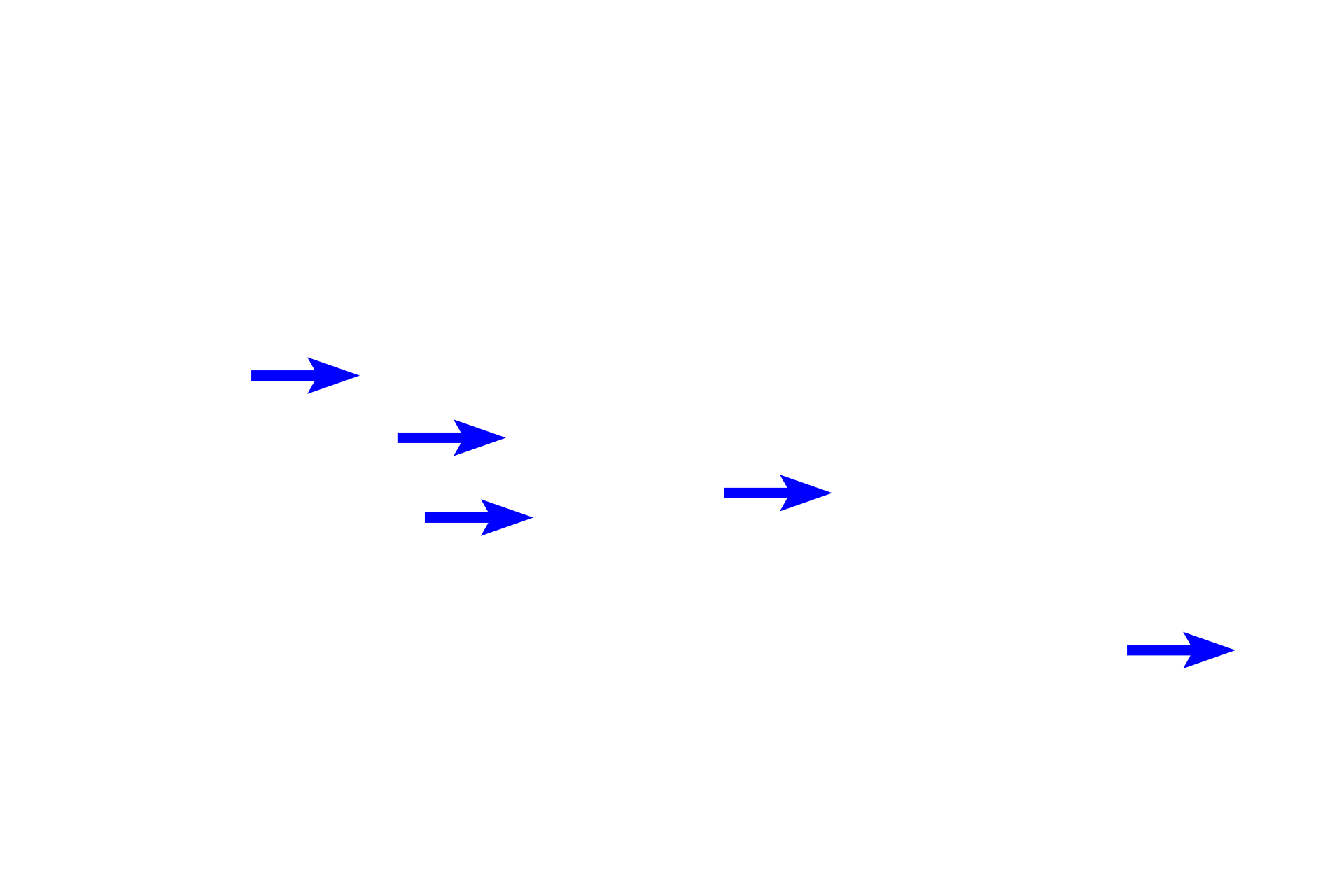  - Mixed glands <p>Bronchi are intrapulmonary passages that are part of the conducting portion of the respiratory system. As bronchi branches from the primary bronchus, they become smaller in diameter and their wall thins. Cartilage plates and mixed glands remain, distinguishing these passages from bronchioles.  100x</p>
