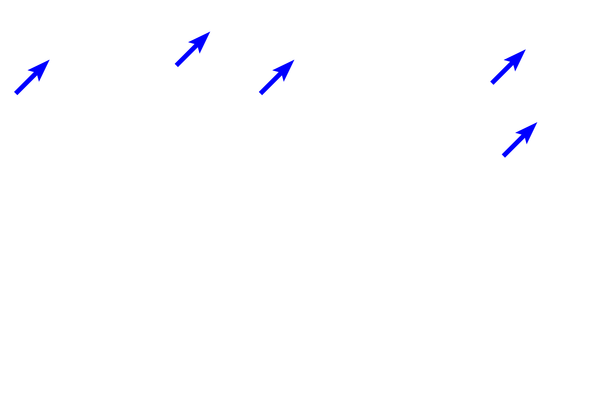 Bronchioles > <p>Bronchioles are also components of the intrapulmonary conducting system, but lack cartilage plates.</p>
