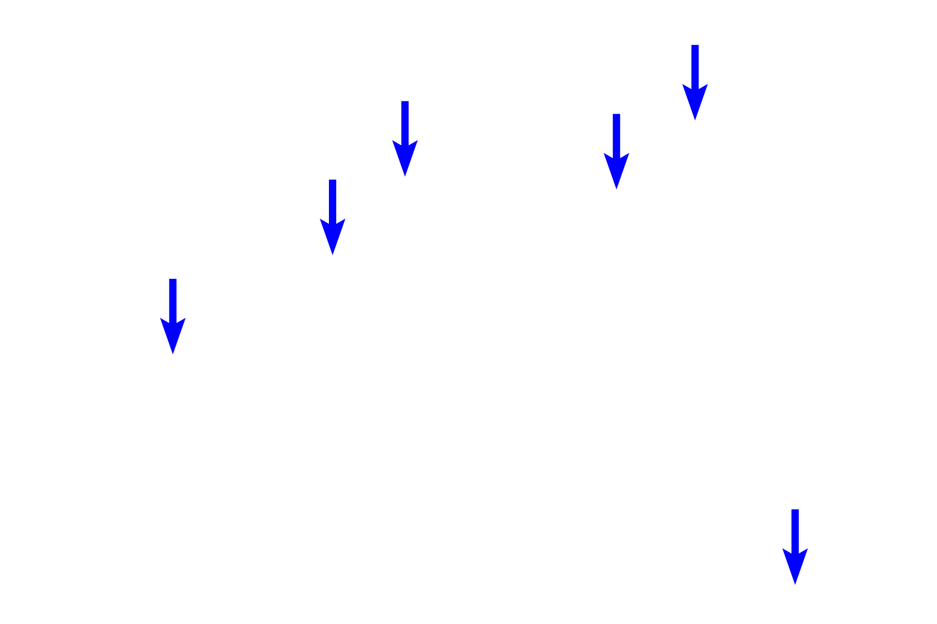 Alveoli <p>These vessels are pulmonary arteries which lie adjacent to the respiratory passageways and travel with them down to level of the alveoli. Unlike most arteries, pulmonary arteries carry deoxygenated blood.   </p>
