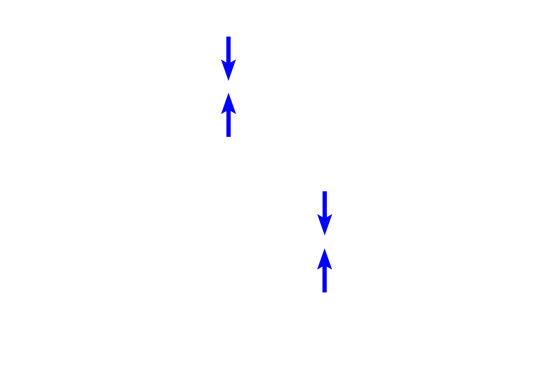 Epithelium <p>As bronchi decrease in size, each layer becomes thinner and the size of the cartilage plates is reduced.  400x</p>

