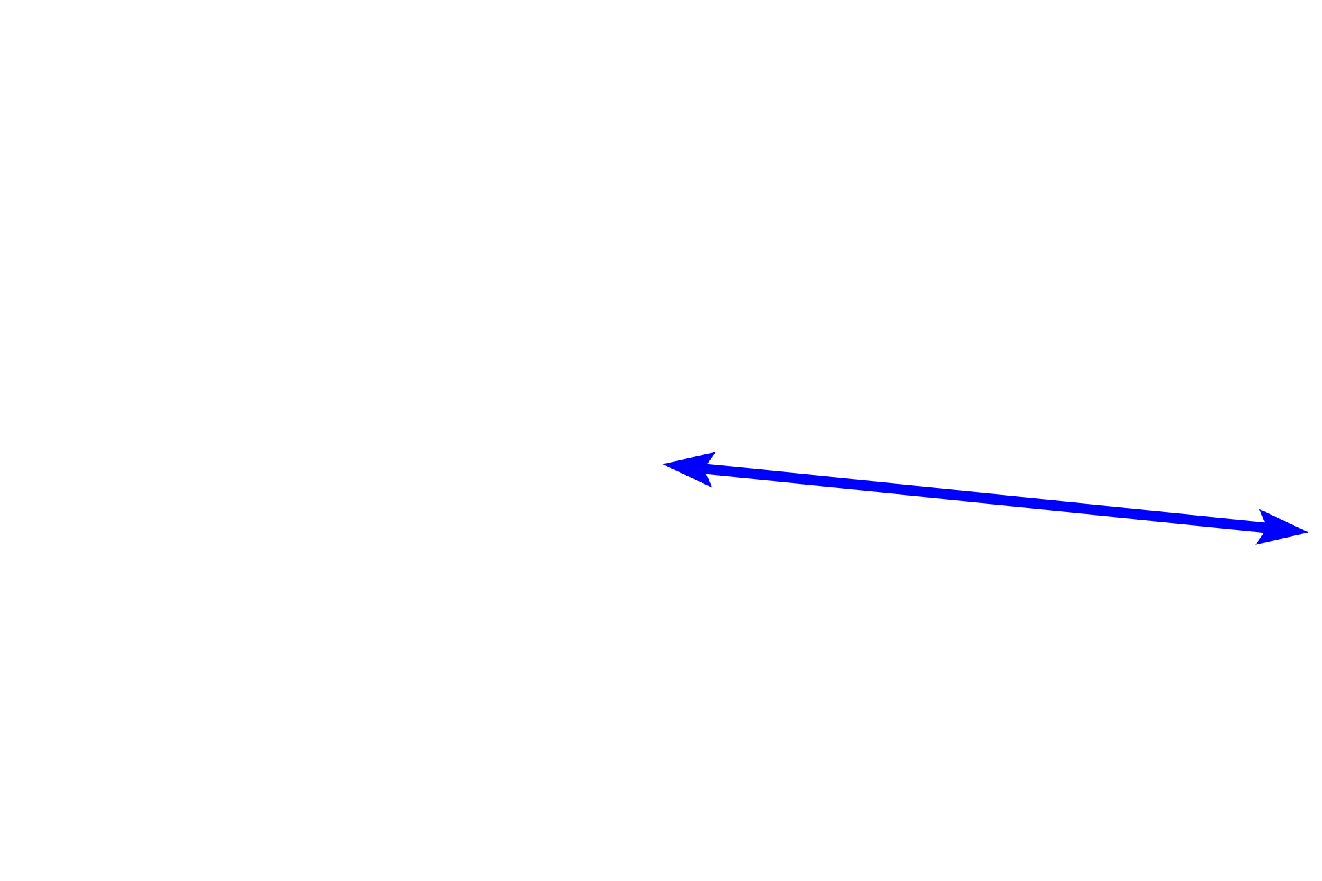 Bronchus <p>This longitudinal section shows a respiratory passageway transitioning from a bronchus (right of the line) to a bronchiole (left). Both are lined by a pseudostratified columnar epithelium with cilia and goblet cells, and their mucosae contain smooth muscle. Cartilage and glands are not present in bronchioles, features that serve to readily distinguish these passageways. 100x </p>
