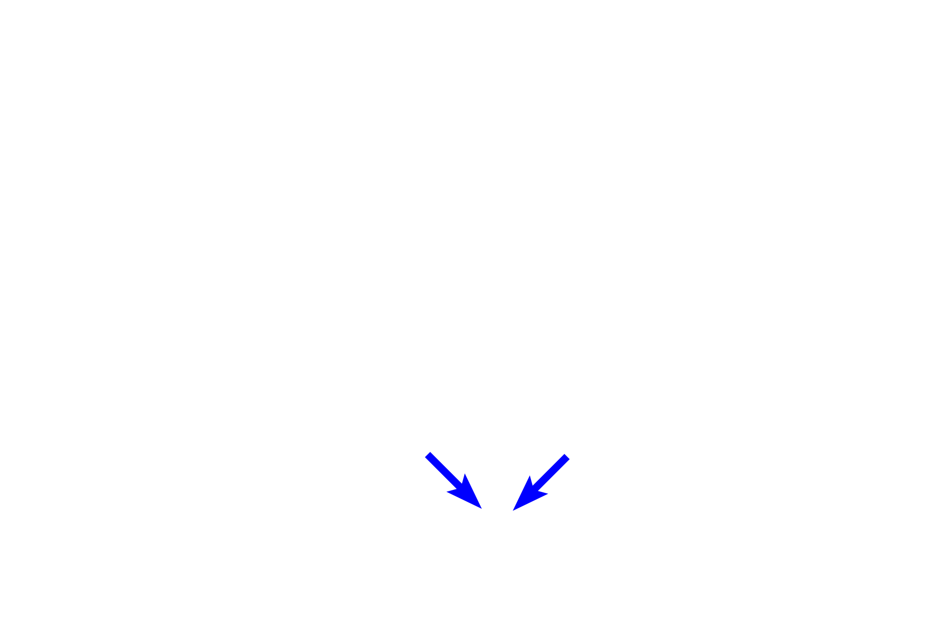 Primary bronchi <p>The extrapulmonary passageways include the nasal cavity, pharynx, larynx, trachea and primary bronchi.</p>
