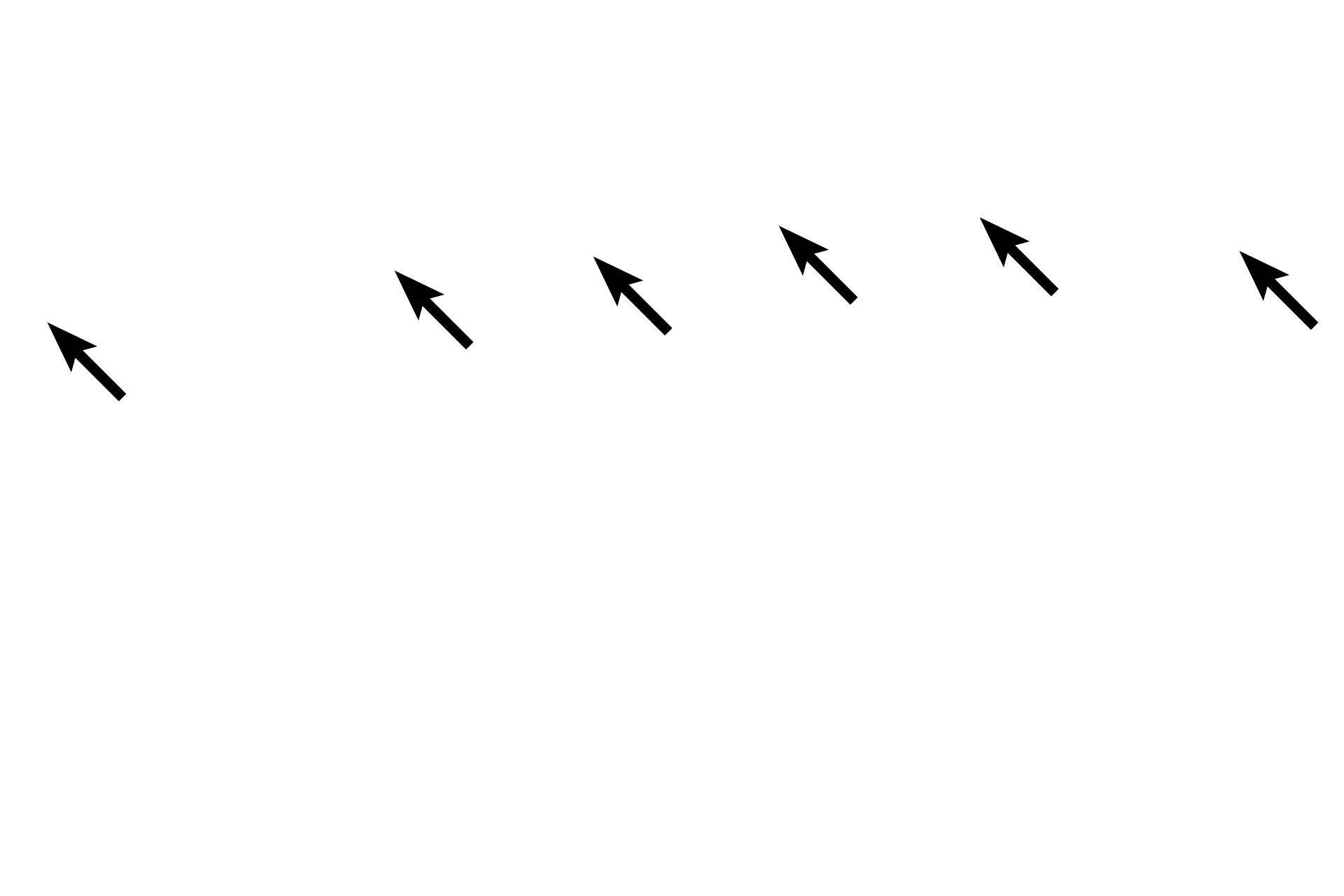 Lamina propria > <p>A lamina propria, located beneath the epithelium, consists of loose connective tissue with many blood vessels that aid in temperature regulation of the air.  </p>
