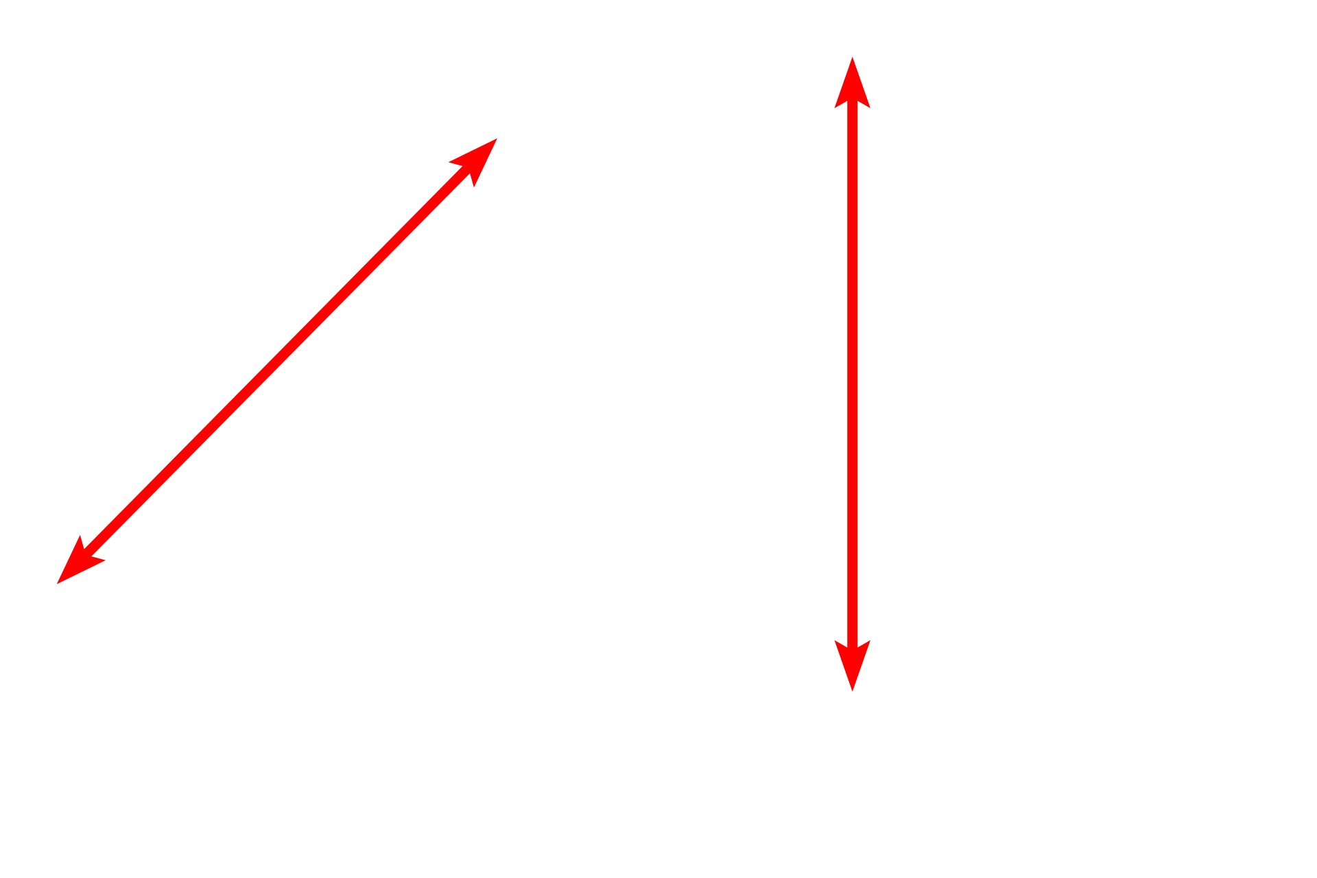 Epithelium <p>The epithelium that lines much of the respiratory system is pseudostratified columnar with cilia and goblet cells. The basement membrane is often very prominent. 1000x</p>
