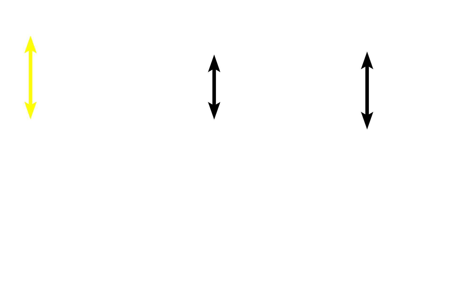 Epithelium <p>The mucosa of the larger conducting passageways (through the larger bronchioles) is lined by a pseudostratified columnar epithelium with cilia. A lamina propria consisting of loose connective tissue is located beneath the epithelium. Either a smooth muscle layer or an elastic lamina is frequently present, separating the mucosa from the submucosa. 400x, 400x</p>
