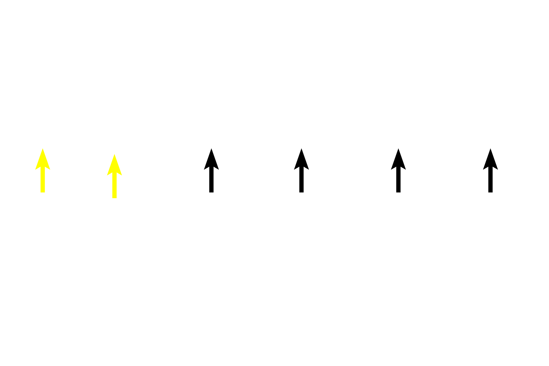 Basement membrane <p>The mucosa of the larger conducting passageways (through the larger bronchioles) is lined by a pseudostratified columnar epithelium with cilia. A lamina propria consisting of loose connective tissue is located beneath the epithelium. Either a smooth muscle layer or an elastic lamina is frequently present, separating the mucosa from the submucosa. 400x, 400x</p>
