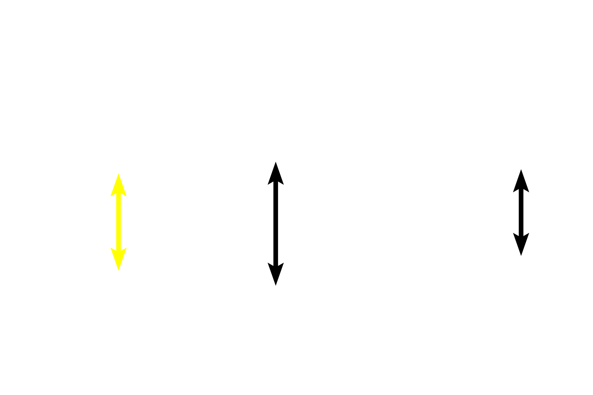 Lamina propria <p>The mucosa of the larger conducting passageways (through the larger bronchioles) is lined by a pseudostratified columnar epithelium with cilia. A lamina propria consisting of loose connective tissue is located beneath the epithelium. Either a smooth muscle layer or an elastic lamina is frequently present, separating the mucosa from the submucosa. 400x, 400x</p>
