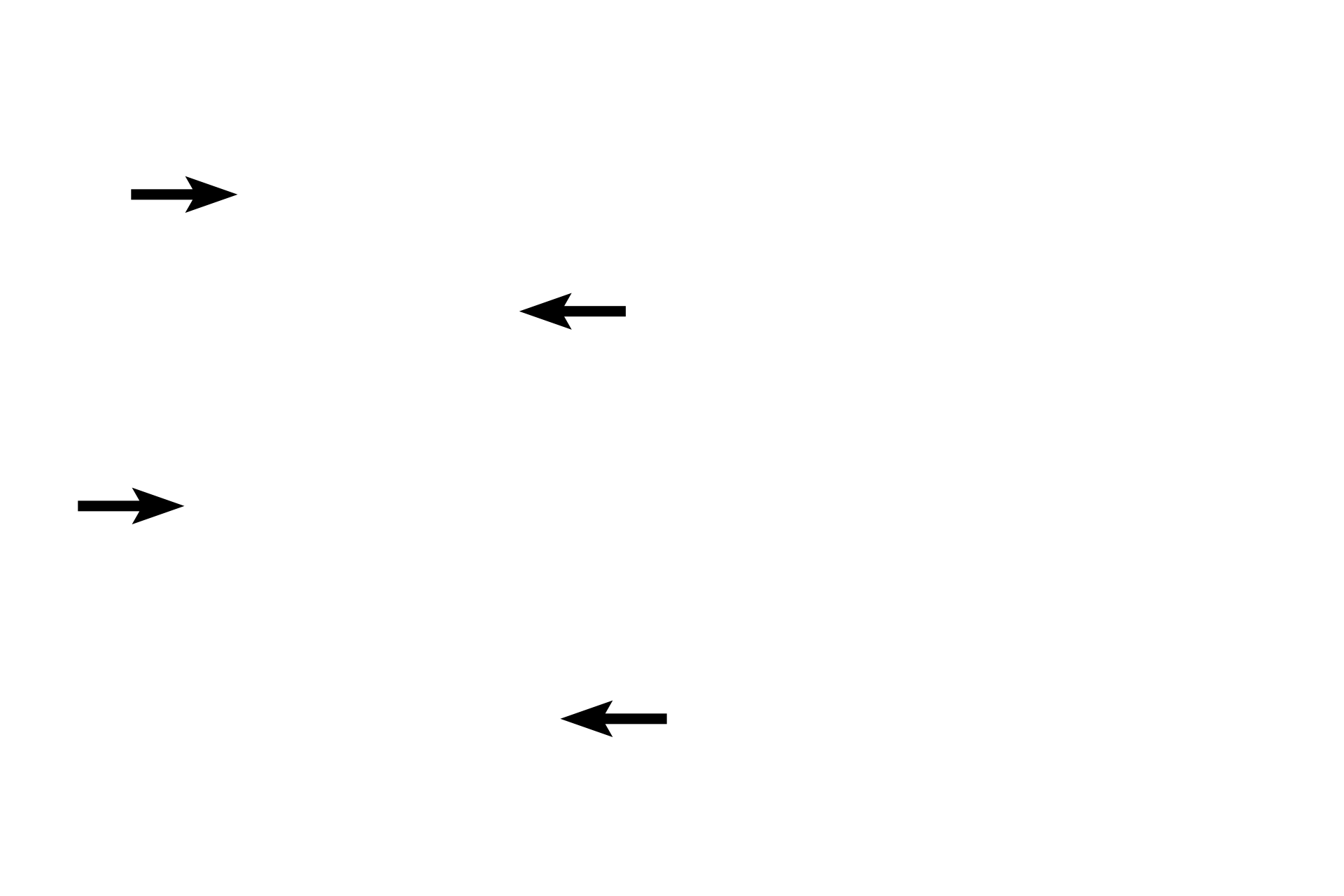 Surfactant > <p>The surface of the alveolus is coated by surfactant, a thin lipoprotein layer that reduces surface tension in the alveolus, thus aiding inspiration. The surfactant is produced by the cuboidal cells in the lining epithelium.</p>

