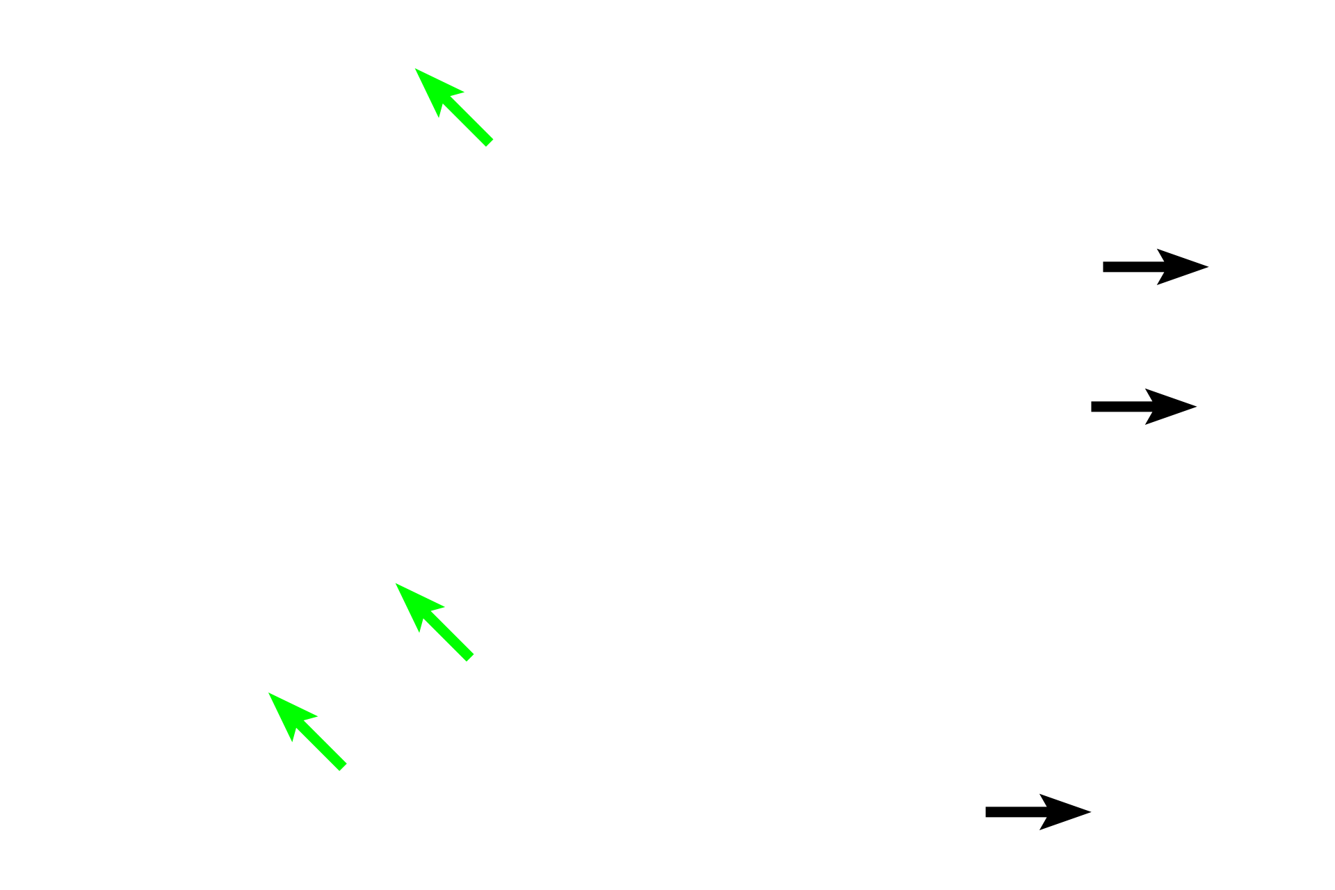 Endothelium  > <p>Each capillary is lined by a simple squamous epithelium, the endothelium. </p>
