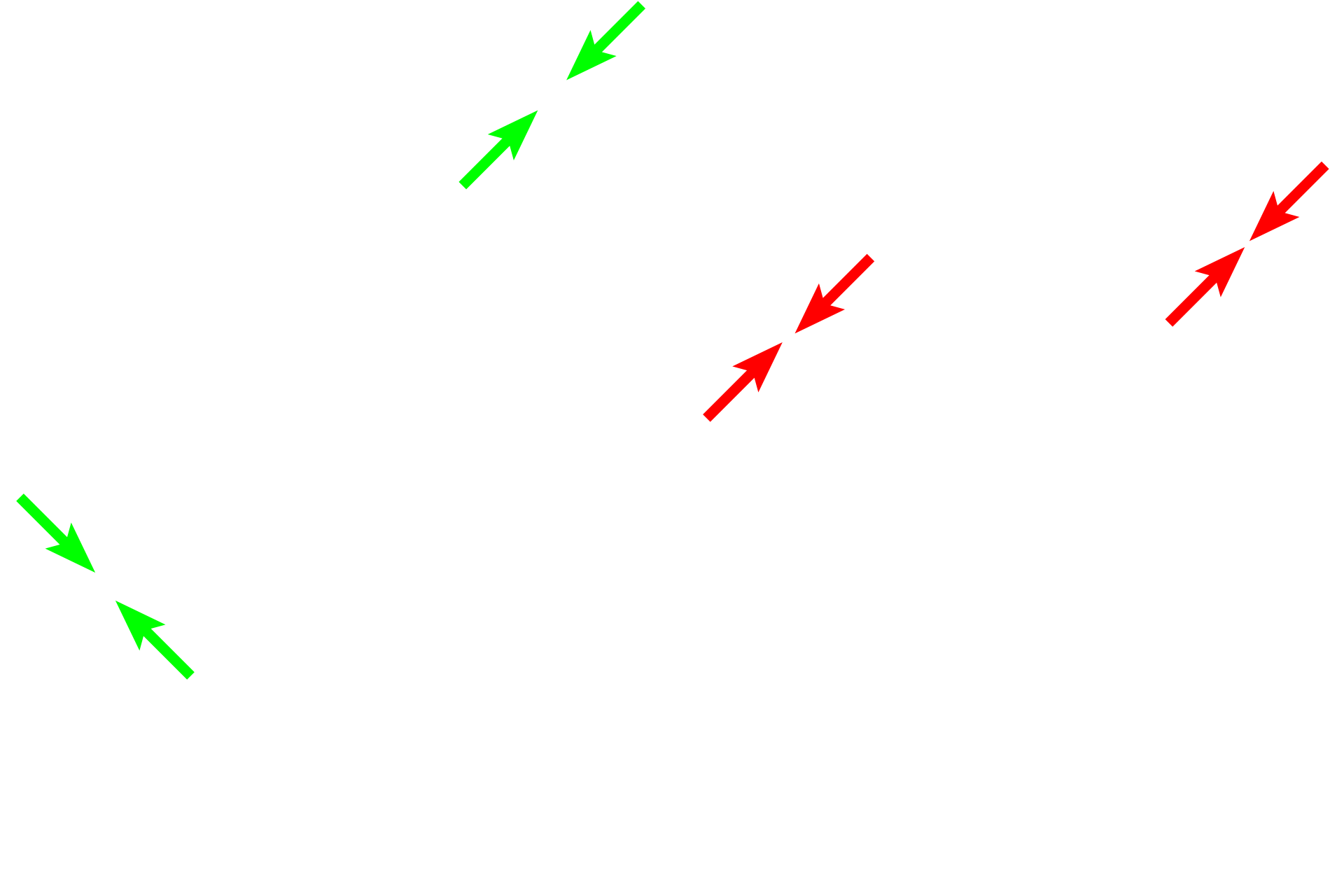 Air-blood barrier <p>An electron micrograph illustrates the components of the interalveolar septum separating adjacent alveoli. 3000x</p>
