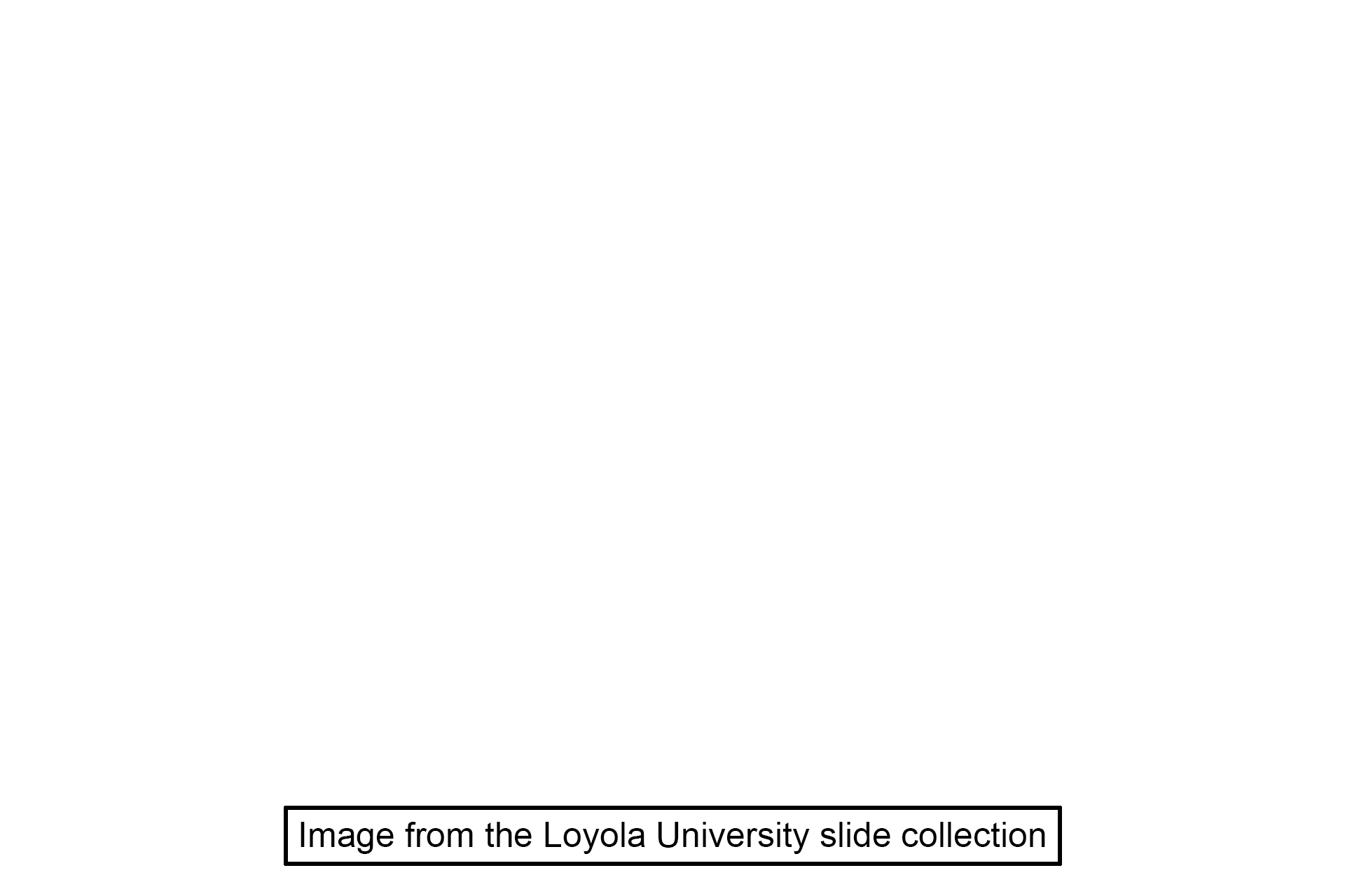 Image source > <p>This image was taken of a slide in the Loyola University collection.</p>
