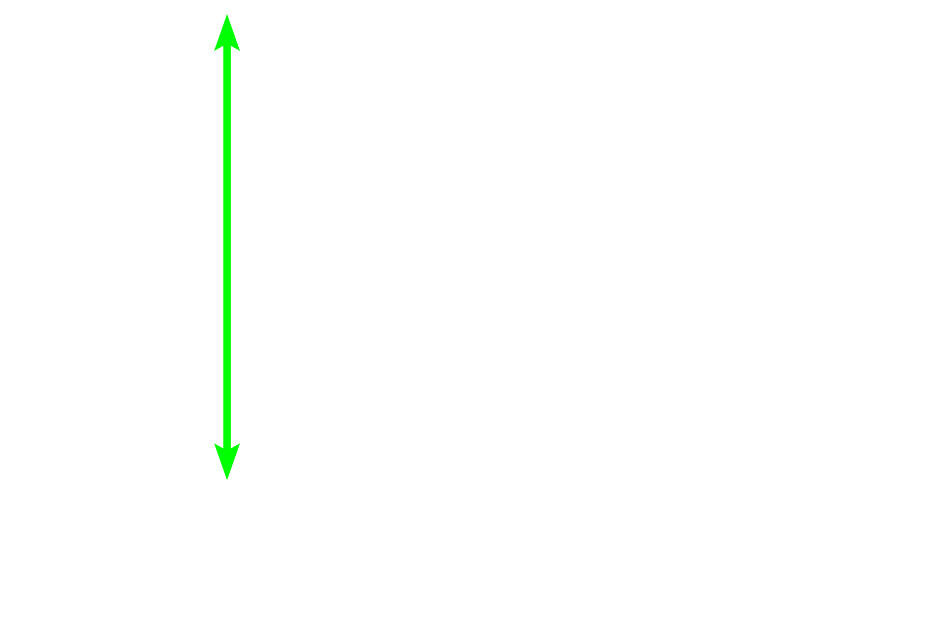 Bronchial mucosa <p>Two arterial systems, bronchial and pulmonary, supply blood to lung tissue. This image show a bronchial artery and vein in the wall of large bronchus. Bronchial arteries supply oxygenated blood to the tissues forming the walls of respiratory passageways. They originate as branches of the descending thoracic aorta and travel within the wall of the passageways. Pulmonary arteries, carrying deoxygenated blood, travel adjacent to respiratory passageways and supply alveolar capillaries where gas exchange occurs.  250x</p>
