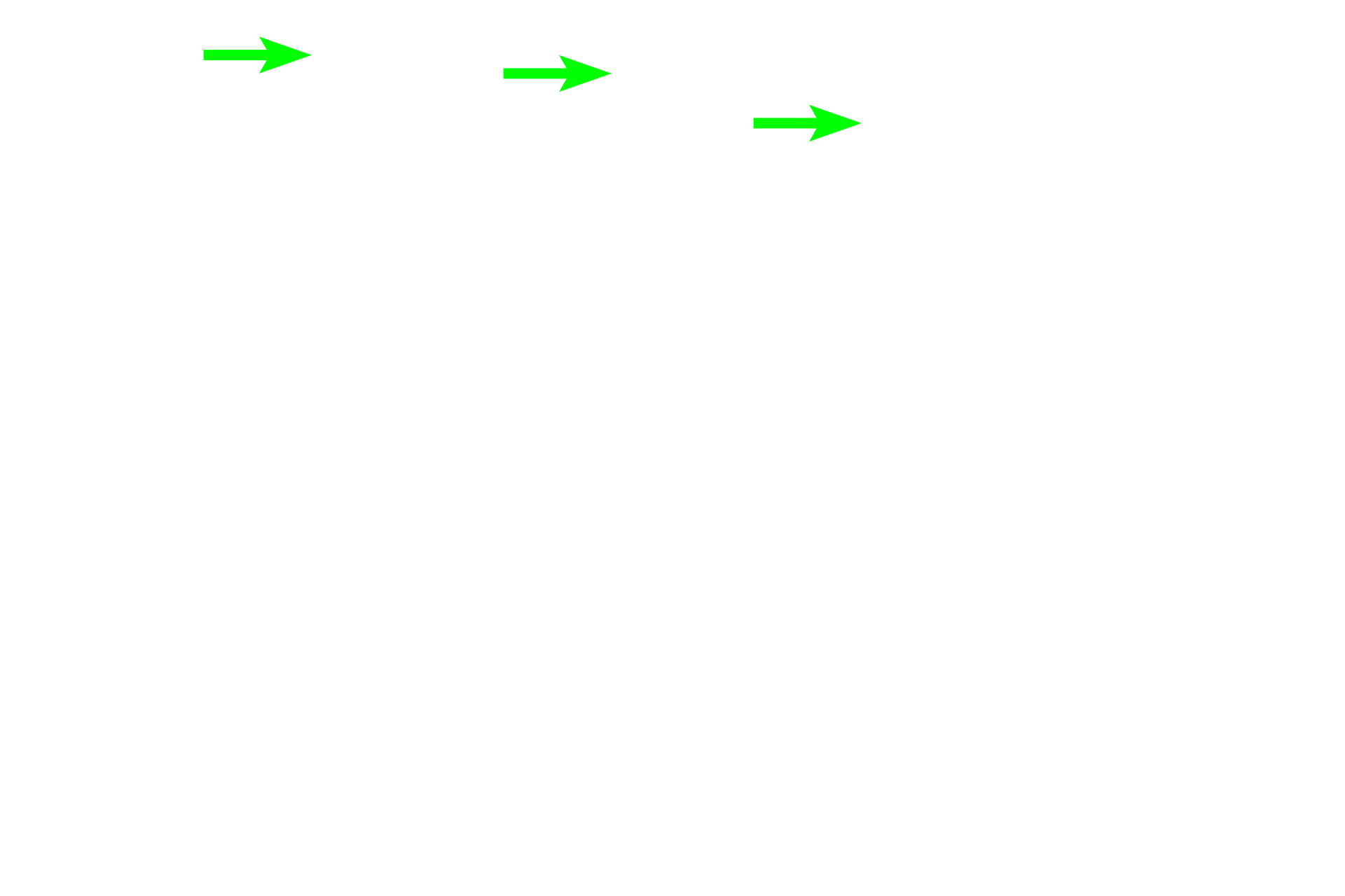 - Epithelium <p>Two arterial systems, bronchial and pulmonary, supply blood to lung tissue. This image show a bronchial artery and vein in the wall of large bronchus. Bronchial arteries supply oxygenated blood to the tissues forming the walls of respiratory passageways. They originate as branches of the descending thoracic aorta and travel within the wall of the passageways. Pulmonary arteries, carrying deoxygenated blood, travel adjacent to respiratory passageways and supply alveolar capillaries where gas exchange occurs.  250x</p>
