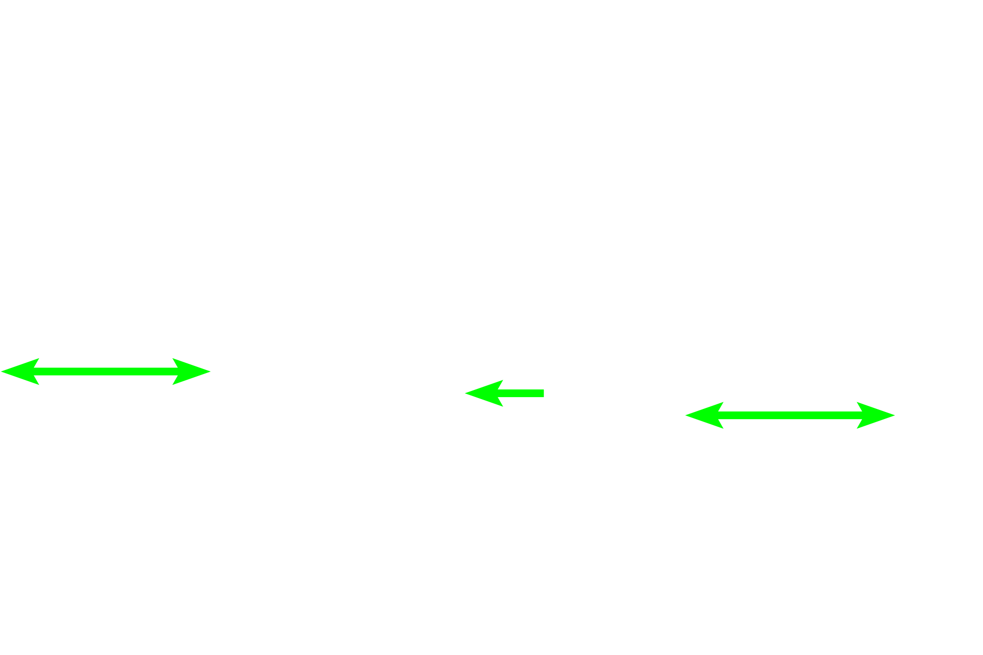  - Mixed glands <p>Two arterial systems, bronchial and pulmonary, supply blood to lung tissue. This image show a bronchial artery and vein in the wall of large bronchus. Bronchial arteries supply oxygenated blood to the tissues forming the walls of respiratory passageways. They originate as branches of the descending thoracic aorta and travel within the wall of the passageways. Pulmonary arteries, carrying deoxygenated blood, travel adjacent to respiratory passageways and supply alveolar capillaries where gas exchange occurs.  250x</p>
