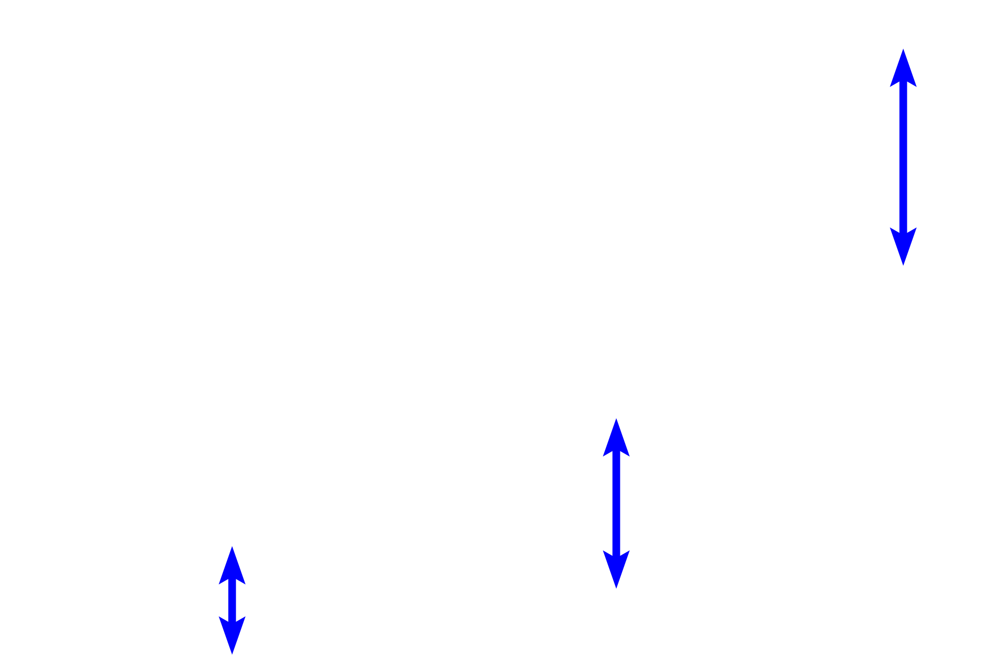 Cartilage plates <p>Two arterial systems, bronchial and pulmonary, supply blood to lung tissue. This image show a bronchial artery and vein in the wall of large bronchus. Bronchial arteries supply oxygenated blood to the tissues forming the walls of respiratory passageways. They originate as branches of the descending thoracic aorta and travel within the wall of the passageways. Pulmonary arteries, carrying deoxygenated blood, travel adjacent to respiratory passageways and supply alveolar capillaries where gas exchange occurs.  250x</p>

