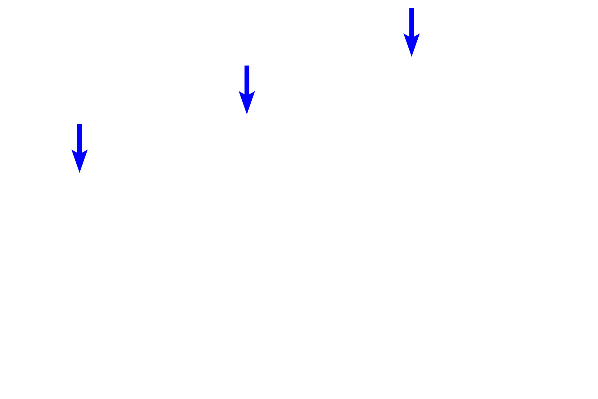  - Epithelium <p>A bronchial vein is seen in the submucosa of a smaller bronchus. Like other systemic veins, bronchial veins carry deoxygenated blood. The majority of bronchial blood drains into pulmonary veins; the remainder enters the systemic venous system.  200x  </p>
