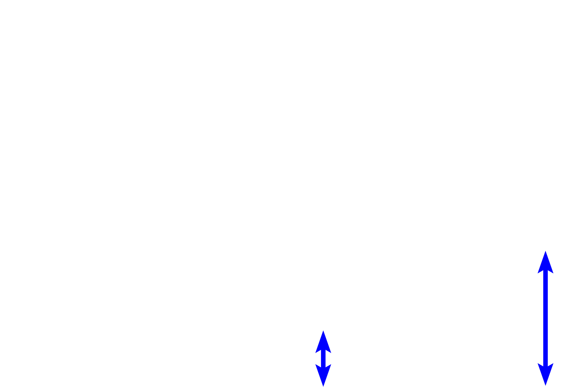 Cartilage plate <p>A bronchial vein is seen in the submucosa of a smaller bronchus. Like other systemic veins, bronchial veins carry deoxygenated blood. The majority of bronchial blood drains into pulmonary veins; the remainder enters the systemic venous system.  200x  </p>
