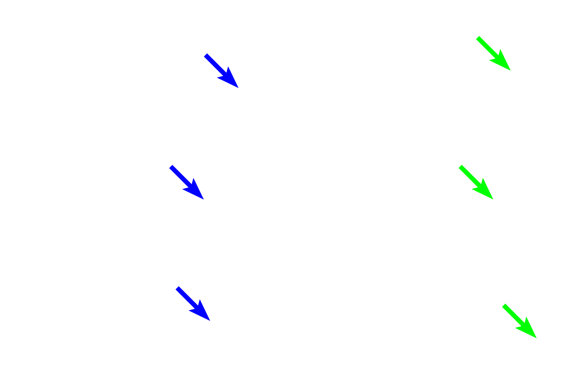 Epithelium <p>Bronchial vessels are shown in the walls of these bronchioles. In order to supply tissues that form the wall of respiratory passageways, bronchial vessels must lie within the wall, making their diameter smaller than the thickness of that wall. 200x, 400x</p>
