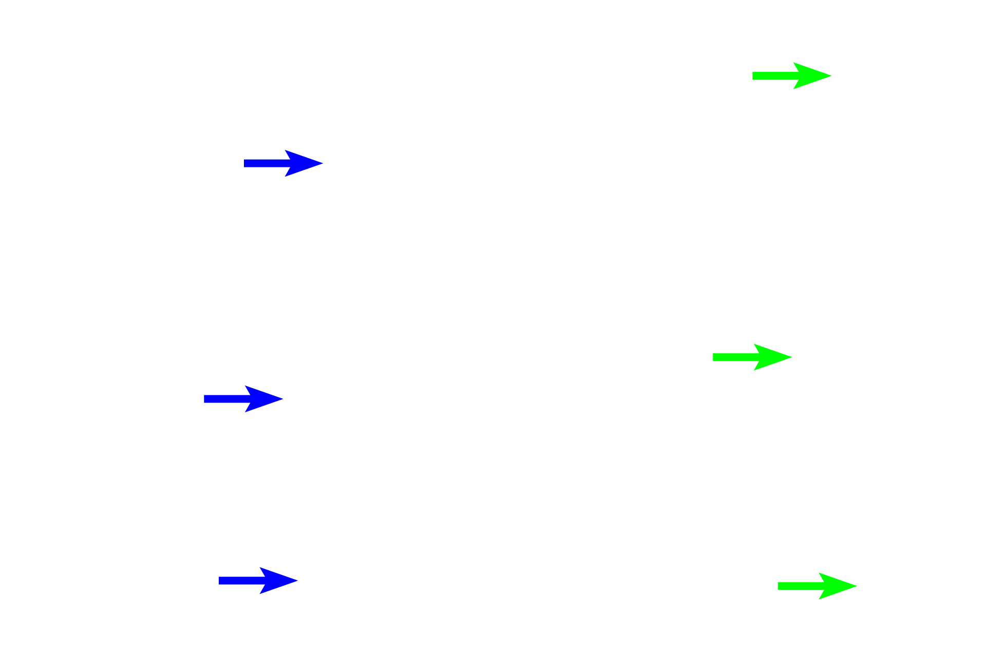 Muscularis <p>Bronchial vessels are shown in the walls of these bronchioles. In order to supply tissues that form the wall of respiratory passageways, bronchial vessels must lie within the wall, making their diameter smaller than the thickness of that wall. 200x, 400x</p>
